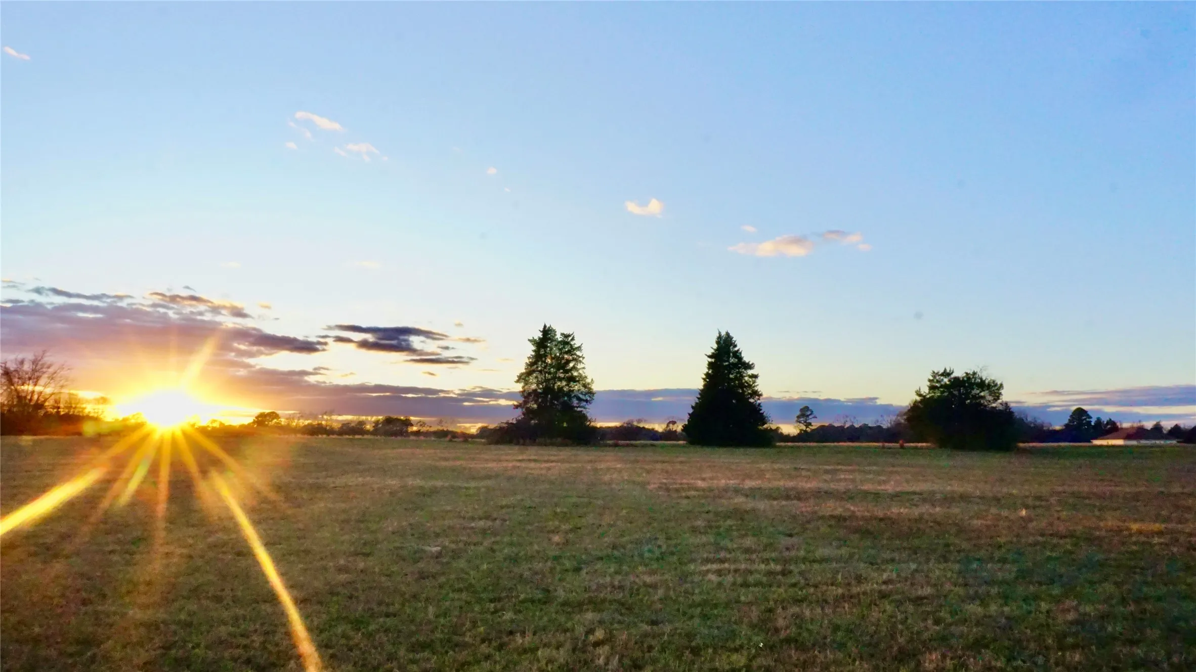 Unimproved Land For Sale in Wood County , 0000 Hwy 37, Quitman, Texas 75783, 0, 0, Garage spaces, 0 Sqft, built in 0, Price $450,000, mls#21157779, Real Estate Agent in Quitman, Homes For Sale in Wood county, Homes For Sale in Quitman, Realtor in Quitman Texas, Real Estate Brokerage Independent Realty Texas, Luminita Cordes Realtor