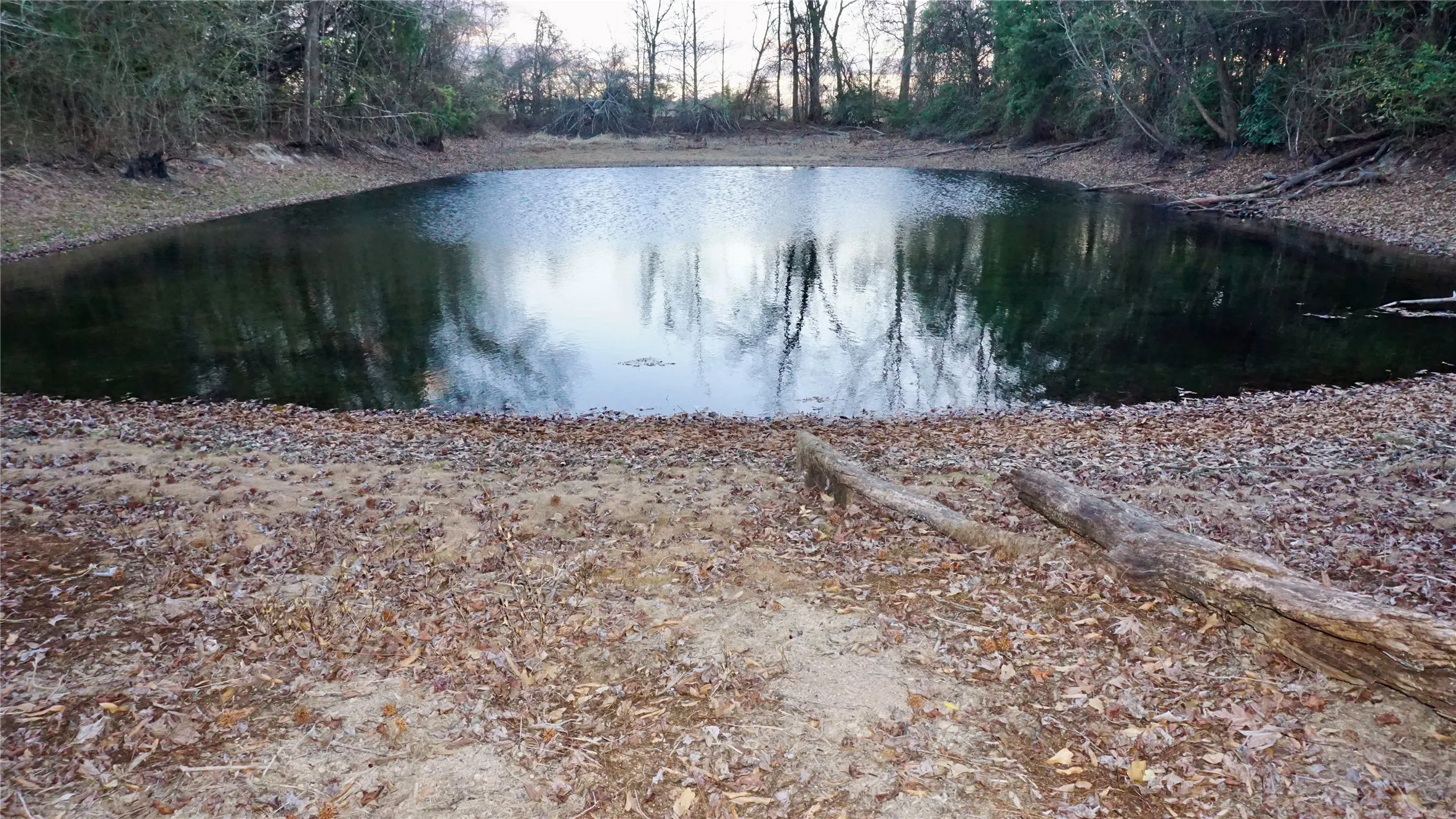 Unimproved Land For Sale in Wood County , 0000 Hwy 37, Quitman, Texas 75783, 0, 0, Garage spaces, 0 Sqft, built in 0, Price $450,000, mls#21157779, Real Estate Agent in Quitman, Homes For Sale in Wood county, Homes For Sale in Quitman, Realtor in Quitman Texas, Real Estate Brokerage Independent Realty Texas, Luminita Cordes Realtor