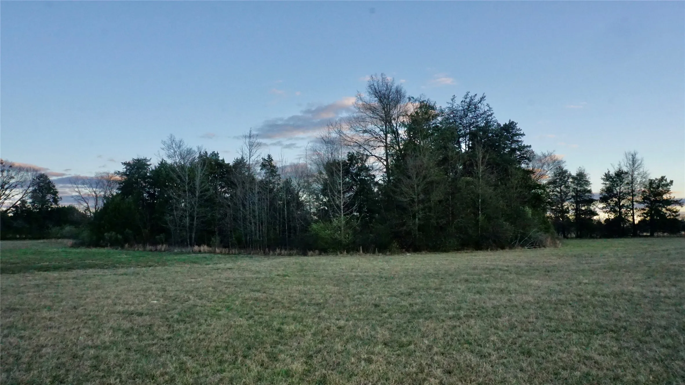 Unimproved Land For Sale in Wood County , 0000 Hwy 37, Quitman, Texas 75783, 0, 0, Garage spaces, 0 Sqft, built in 0, Price $450,000, mls#21157779, Real Estate Agent in Quitman, Homes For Sale in Wood county, Homes For Sale in Quitman, Realtor in Quitman Texas, Real Estate Brokerage Independent Realty Texas, Luminita Cordes Realtor