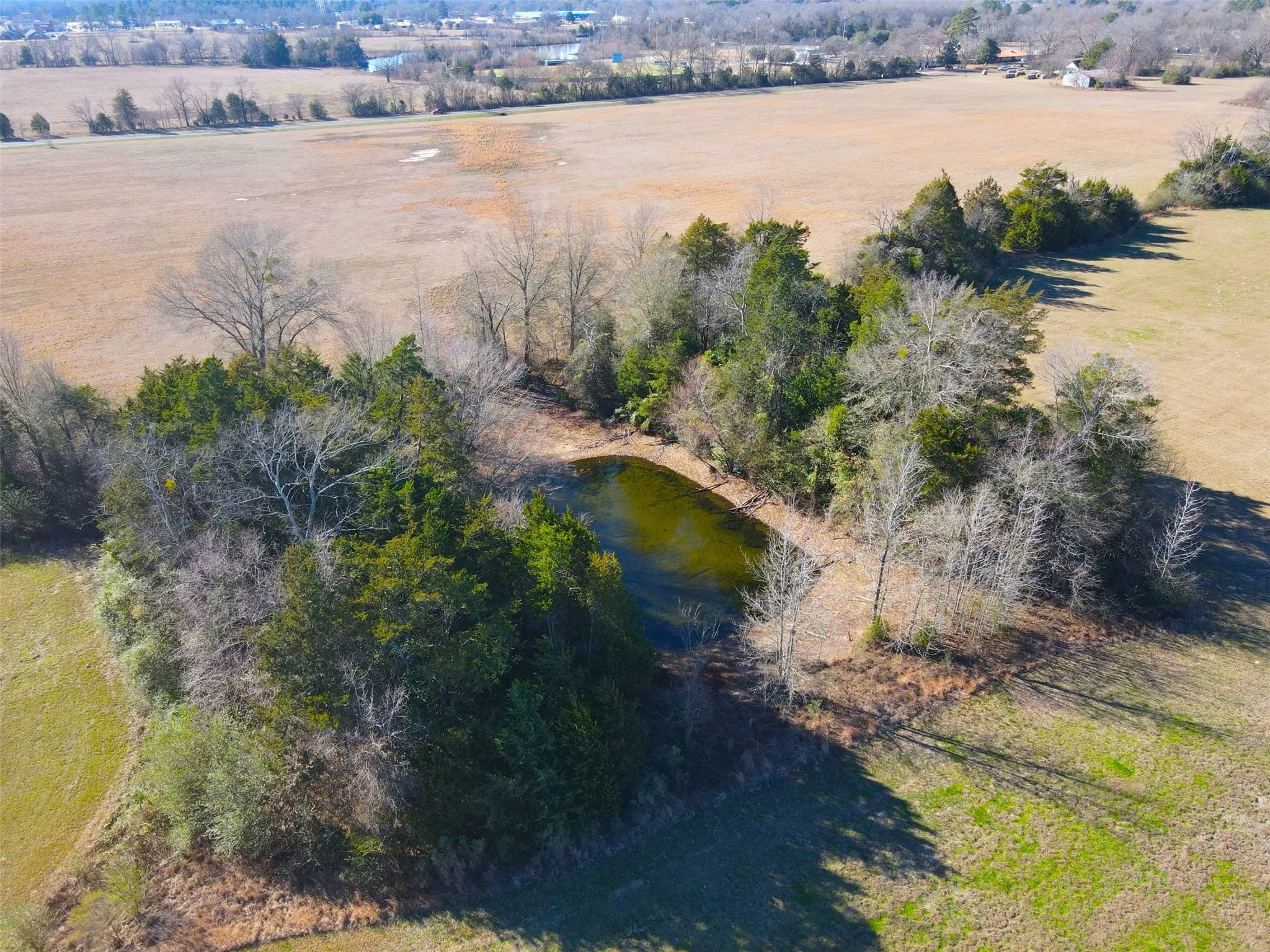 Unimproved Land For Sale in Wood County , 0000 Hwy 37, Quitman, Texas 75783, 0, 0, Garage spaces, 0 Sqft, built in 0, Price $450,000, mls#21157779, Real Estate Agent in Quitman, Homes For Sale in Wood county, Homes For Sale in Quitman, Realtor in Quitman Texas, Real Estate Brokerage Independent Realty Texas, Luminita Cordes Realtor