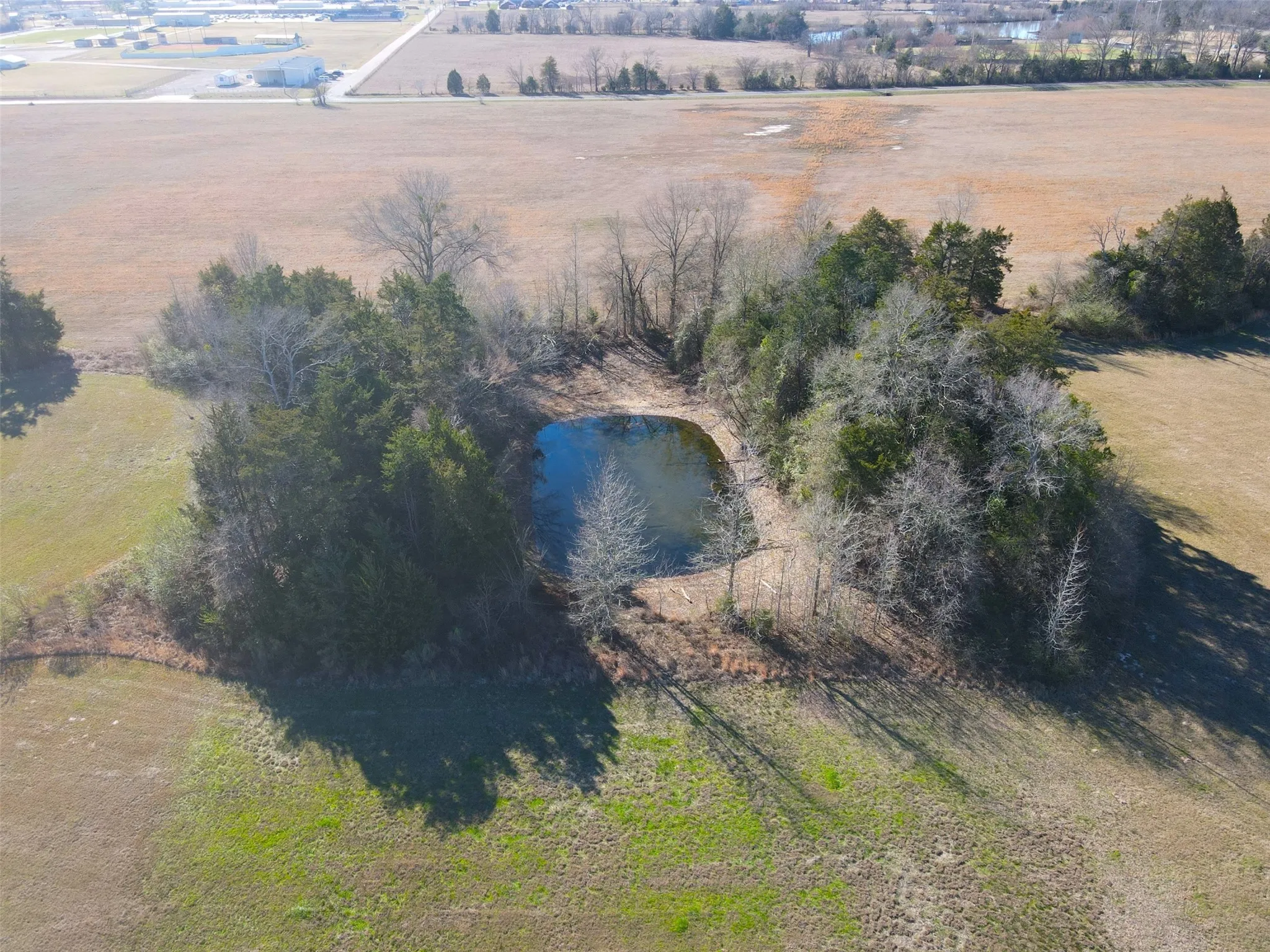 Spring-Fed pond