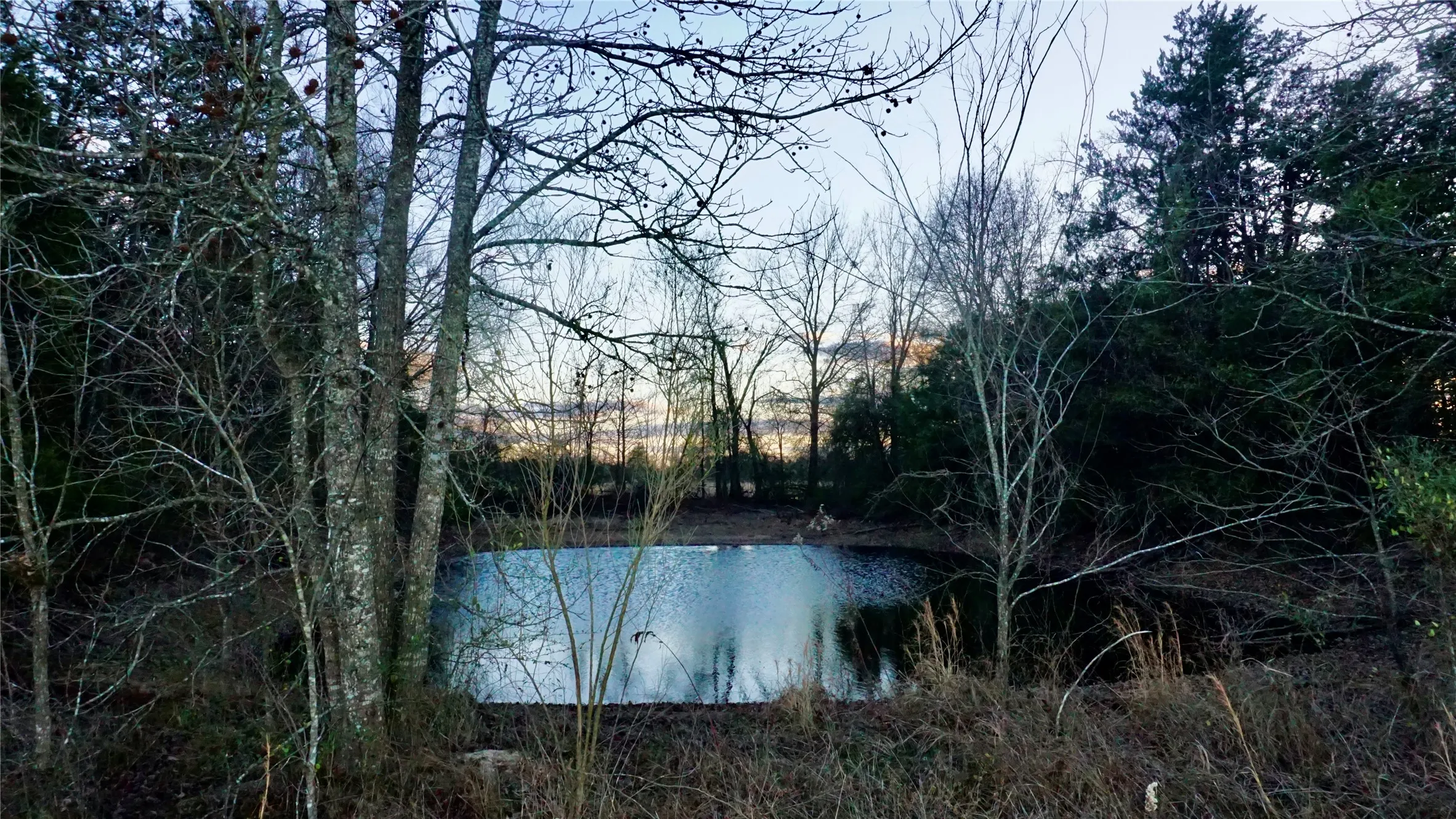 Spring-fed pond