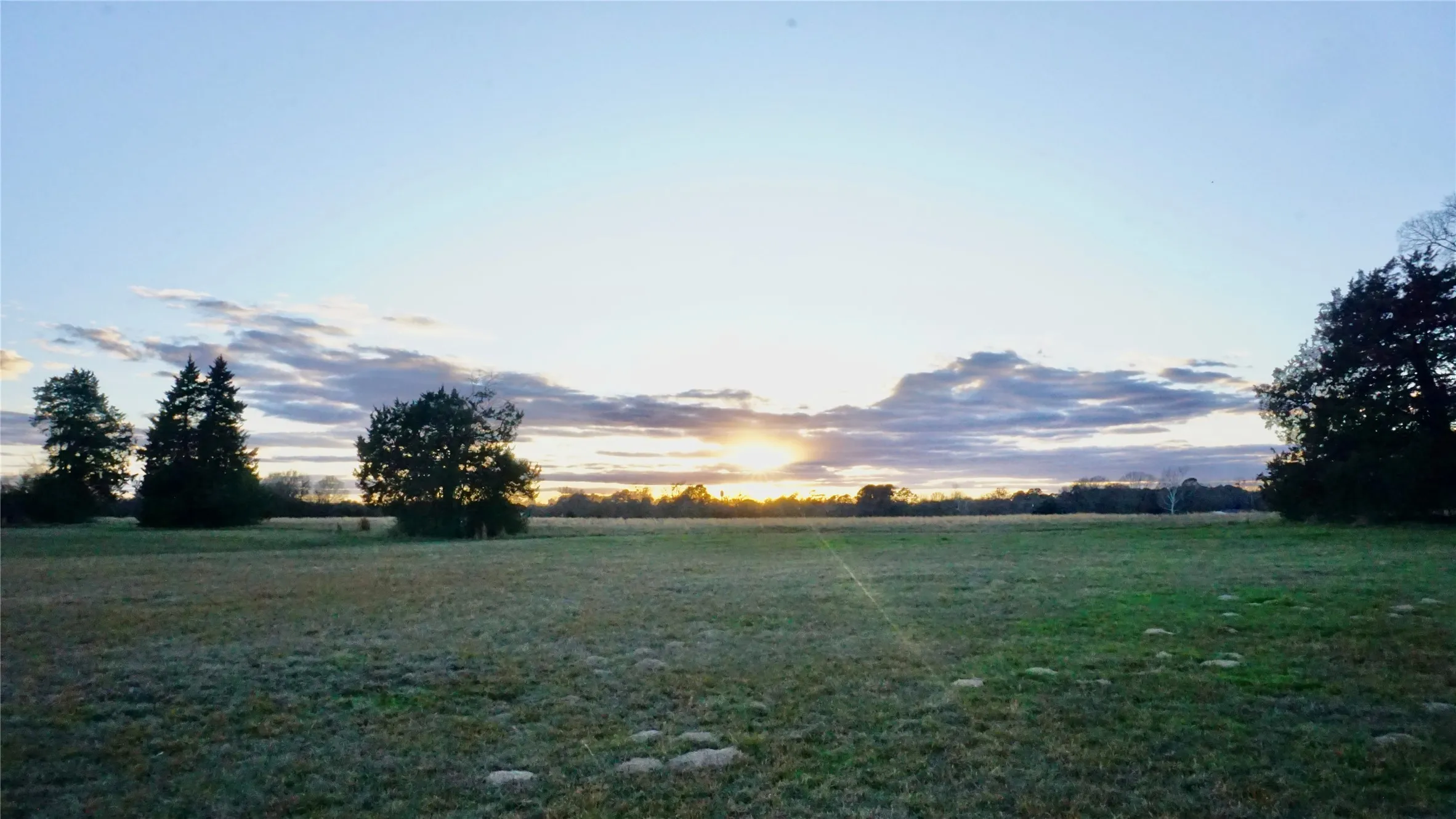 Unimproved Land For Sale in Wood County , 0000 Hwy 37, Quitman, Texas 75783, 0, 0, Garage spaces, 0 Sqft, built in 0, Price $450,000, mls#21157779, Real Estate Agent in Quitman, Homes For Sale in Wood county, Homes For Sale in Quitman, Realtor in Quitman Texas, Real Estate Brokerage Independent Realty Texas, Luminita Cordes Realtor