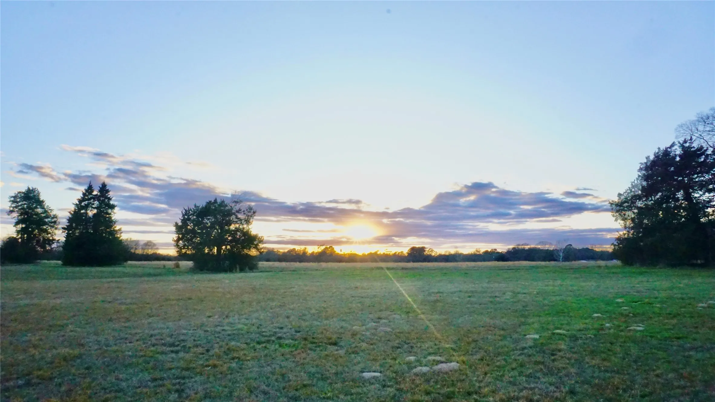 Unimproved Land For Sale in Wood County , 0000 Hwy 37, Quitman, Texas 75783, 0, 0, Garage spaces, 0 Sqft, built in 0, Price $450,000, mls#21157779, Real Estate Agent in Quitman, Homes For Sale in Wood county, Homes For Sale in Quitman, Realtor in Quitman Texas, Real Estate Brokerage Independent Realty Texas, Luminita Cordes Realtor