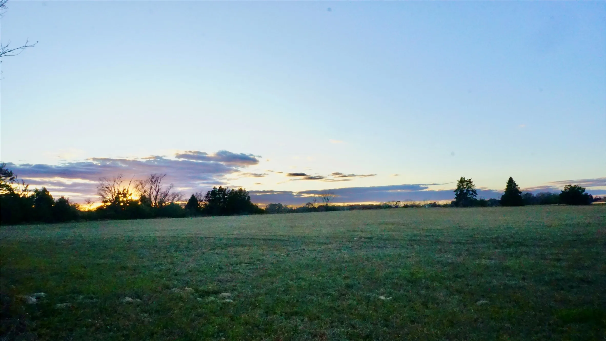 Unimproved Land For Sale in Wood County , 0000 Hwy 37, Quitman, Texas 75783, 0, 0, Garage spaces, 0 Sqft, built in 0, Price $450,000, mls#21157779, Real Estate Agent in Quitman, Homes For Sale in Wood county, Homes For Sale in Quitman, Realtor in Quitman Texas, Real Estate Brokerage Independent Realty Texas, Luminita Cordes Realtor
