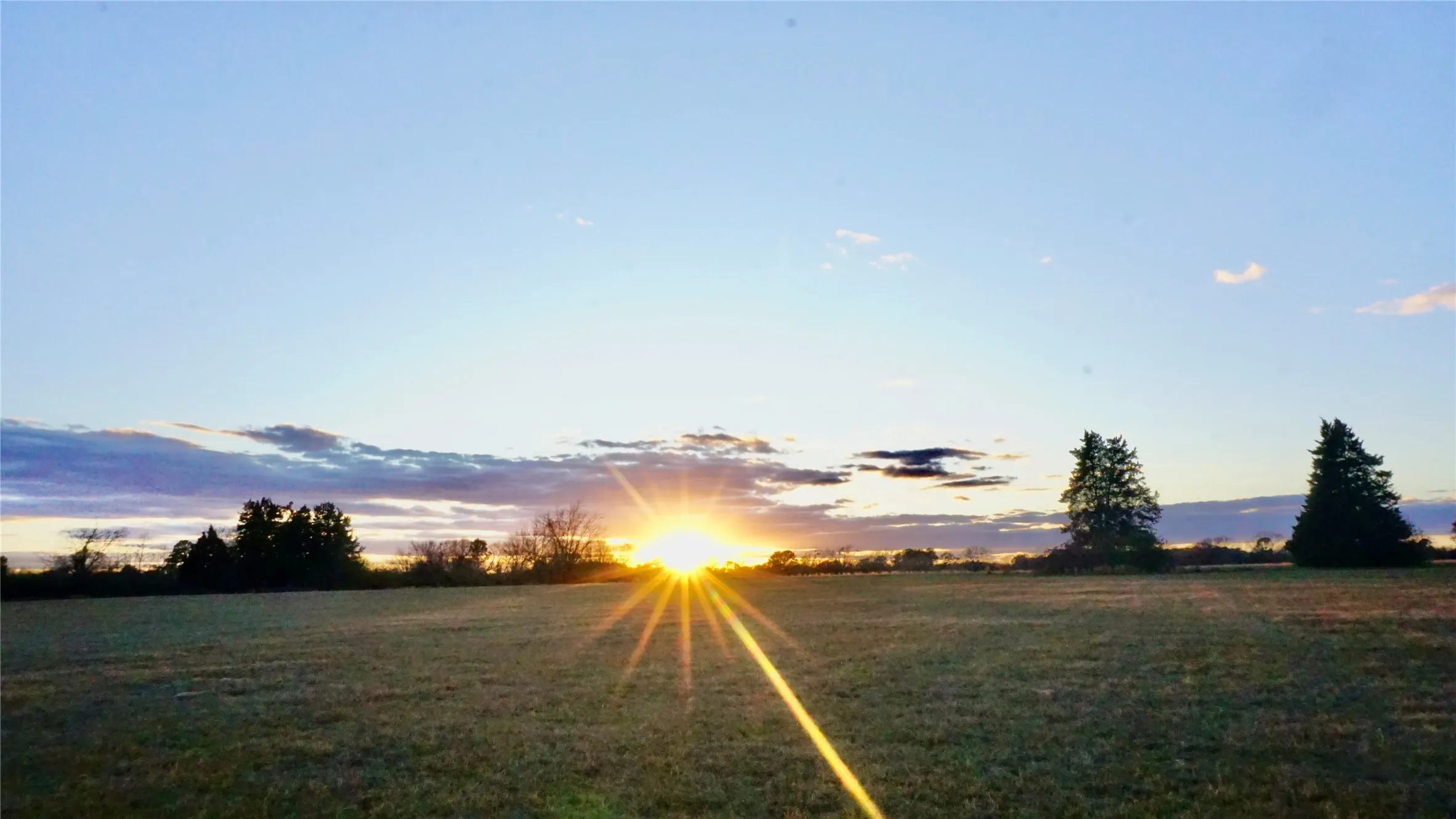 Unimproved Land For Sale in Wood County , 0000 Hwy 37, Quitman, Texas 75783, 0, 0, Garage spaces, 0 Sqft, built in 0, Price $450,000, mls#21157779, Real Estate Agent in Quitman, Homes For Sale in Wood county, Homes For Sale in Quitman, Realtor in Quitman Texas, Real Estate Brokerage Independent Realty Texas, Luminita Cordes Realtor
