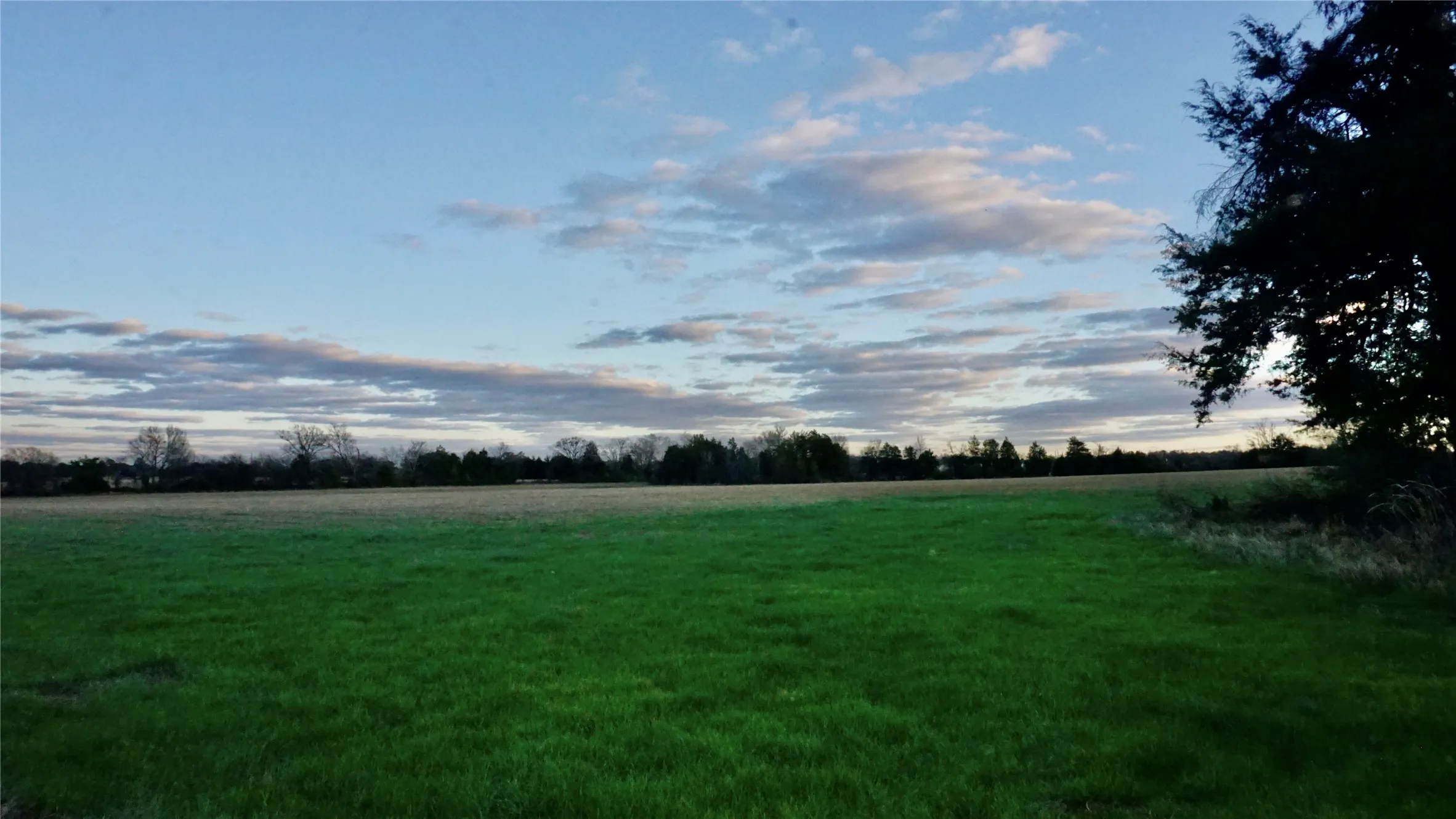 Unimproved Land For Sale in Wood County , 0000 Hwy 37, Quitman, Texas 75783, 0, 0, Garage spaces, 0 Sqft, built in 0, Price $450,000, mls#21157779, Real Estate Agent in Quitman, Homes For Sale in Wood county, Homes For Sale in Quitman, Realtor in Quitman Texas, Real Estate Brokerage Independent Realty Texas, Luminita Cordes Realtor
