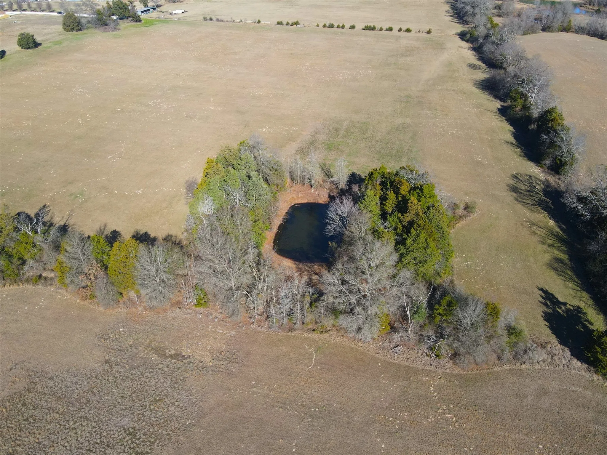 Unimproved Land For Sale in Wood County , 0000 Hwy 37, Quitman, Texas 75783, 0, 0, Garage spaces, 0 Sqft, built in 0, Price $450,000, mls#21157779, Real Estate Agent in Quitman, Homes For Sale in Wood county, Homes For Sale in Quitman, Realtor in Quitman Texas, Real Estate Brokerage Independent Realty Texas, Luminita Cordes Realtor