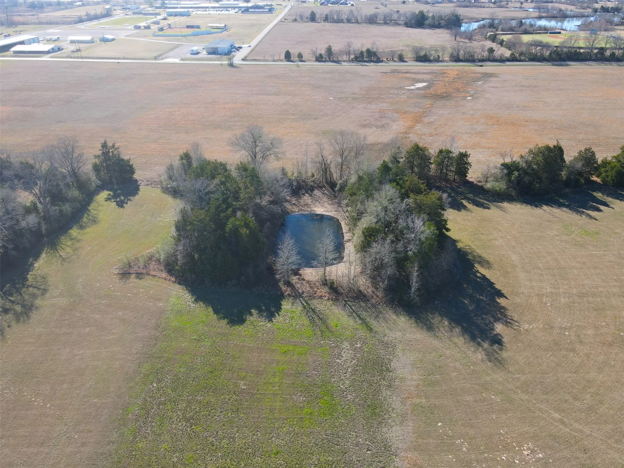 Unimproved Land For Sale in Wood County , 0000 Hwy 37, Quitman, Texas 75783, 0, 0, Garage spaces, 0 Sqft, built in 0, Price $450,000, mls#21157779, Real Estate Agent in Quitman, Homes For Sale in Wood county, Homes For Sale in Quitman, Realtor in Quitman Texas, Real Estate Brokerage Independent Realty Texas, Luminita Cordes Realtor