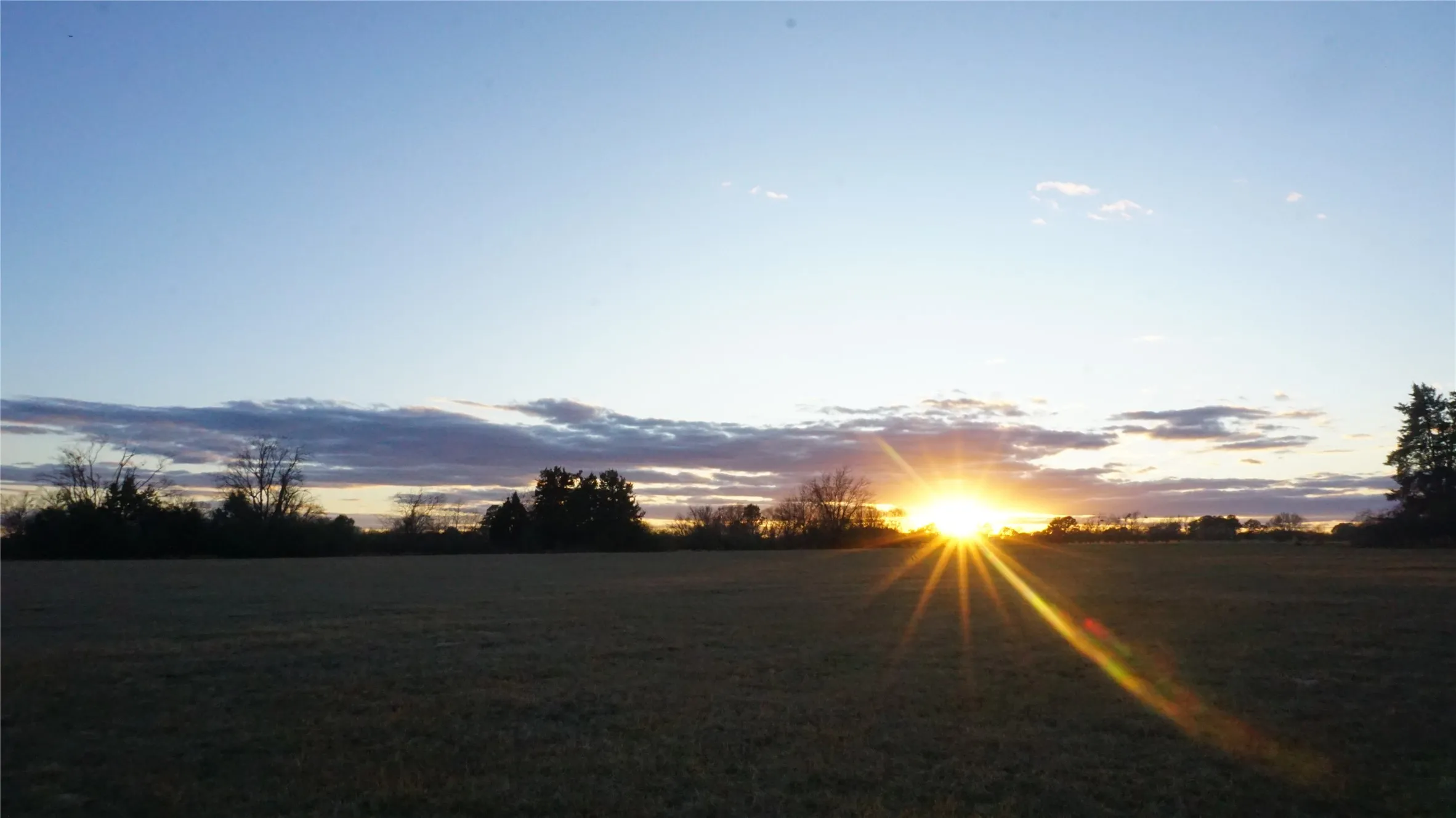 Unimproved Land For Sale in Wood County , 0000 Hwy 37, Quitman, Texas 75783, 0, 0, Garage spaces, 0 Sqft, built in 0, Price $450,000, mls#21157779, Real Estate Agent in Quitman, Homes For Sale in Wood county, Homes For Sale in Quitman, Realtor in Quitman Texas, Real Estate Brokerage Independent Realty Texas, Luminita Cordes Realtor