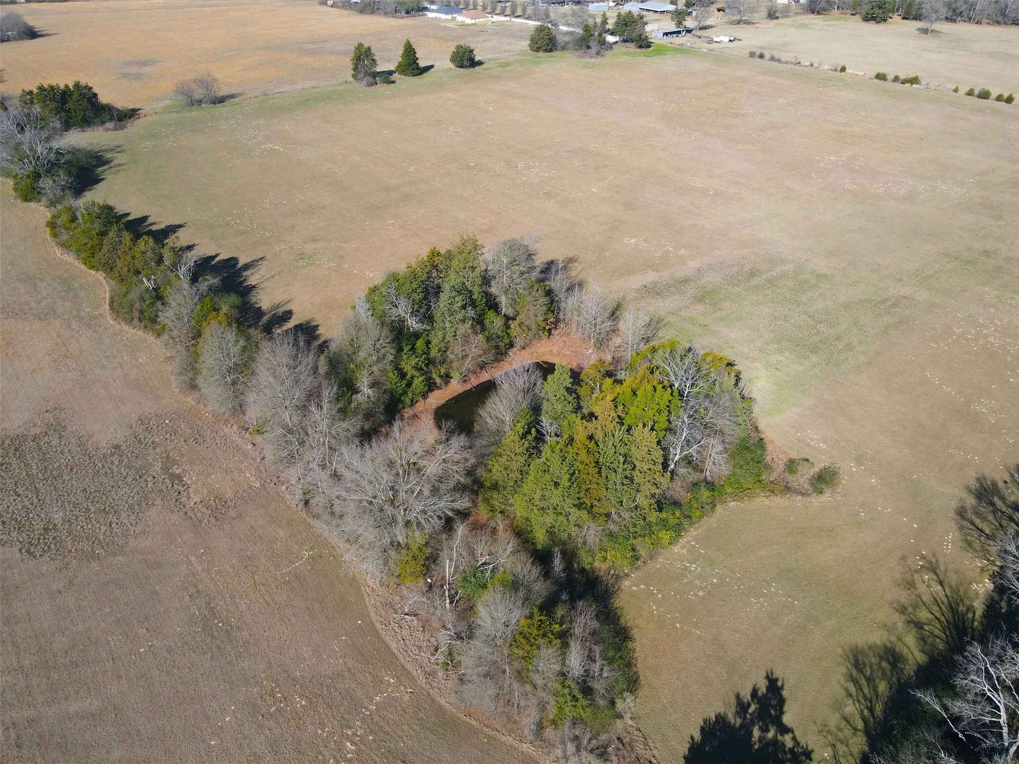 Unimproved Land For Sale in Wood County , 0000 Hwy 37, Quitman, Texas 75783, 0, 0, Garage spaces, 0 Sqft, built in 0, Price $450,000, mls#21157779, Real Estate Agent in Quitman, Homes For Sale in Wood county, Homes For Sale in Quitman, Realtor in Quitman Texas, Real Estate Brokerage Independent Realty Texas, Luminita Cordes Realtor