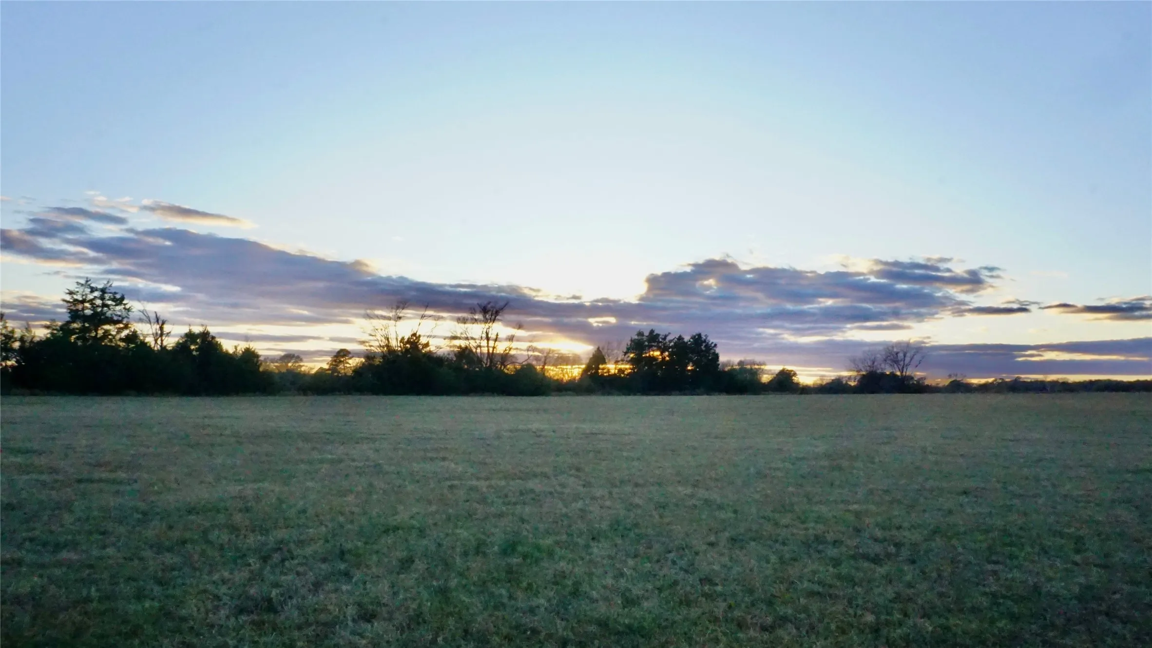 Unimproved Land For Sale in Wood County , 0000 Hwy 37, Quitman, Texas 75783, 0, 0, Garage spaces, 0 Sqft, built in 0, Price $450,000, mls#21157779, Real Estate Agent in Quitman, Homes For Sale in Wood county, Homes For Sale in Quitman, Realtor in Quitman Texas, Real Estate Brokerage Independent Realty Texas, Luminita Cordes Realtor