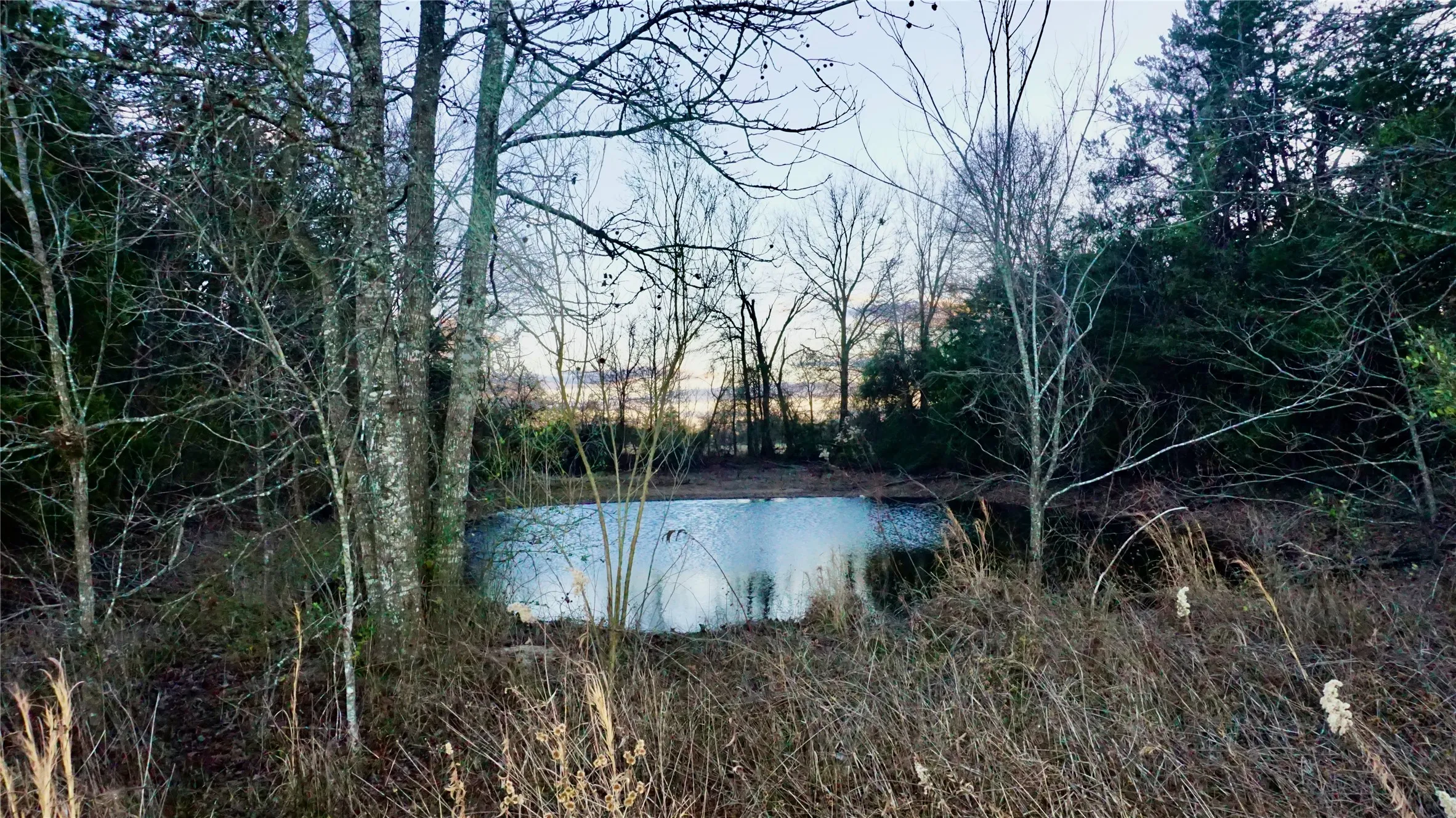 Unimproved Land For Sale in Wood County , 0000 Hwy 37, Quitman, Texas 75783, 0, 0, Garage spaces, 0 Sqft, built in 0, Price $450,000, mls#21157779, Real Estate Agent in Quitman, Homes For Sale in Wood county, Homes For Sale in Quitman, Realtor in Quitman Texas, Real Estate Brokerage Independent Realty Texas, Luminita Cordes Realtor