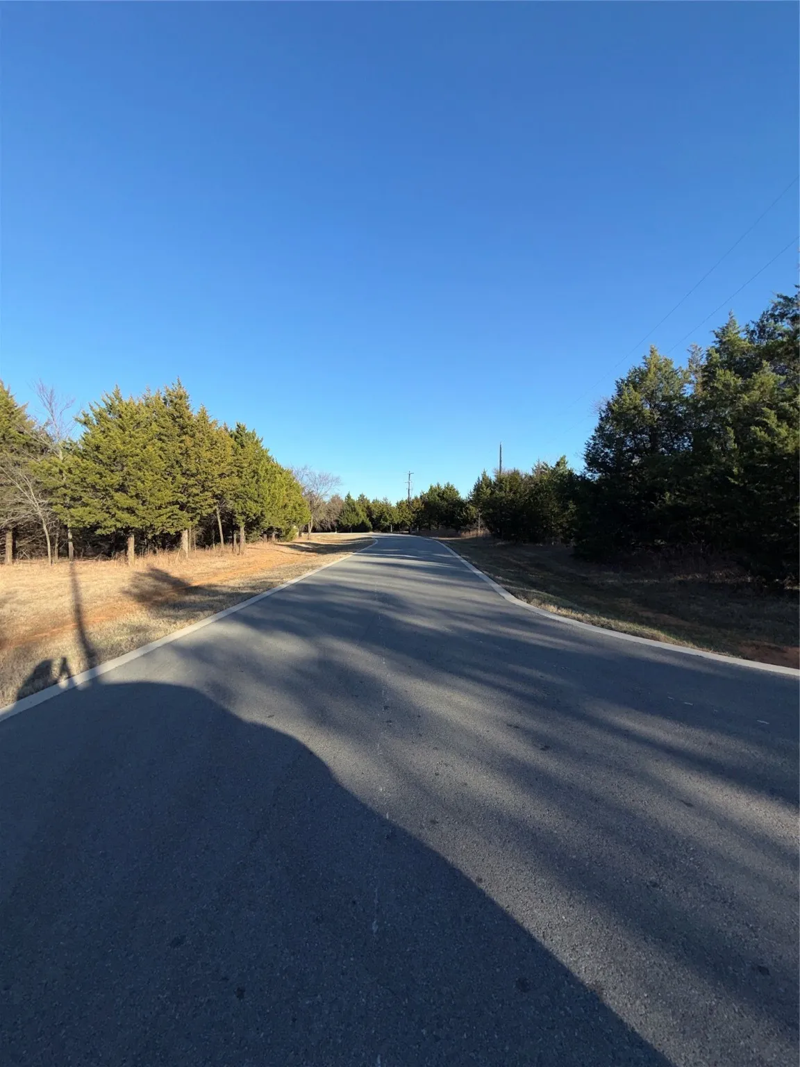 East View of Forest Hills Drive