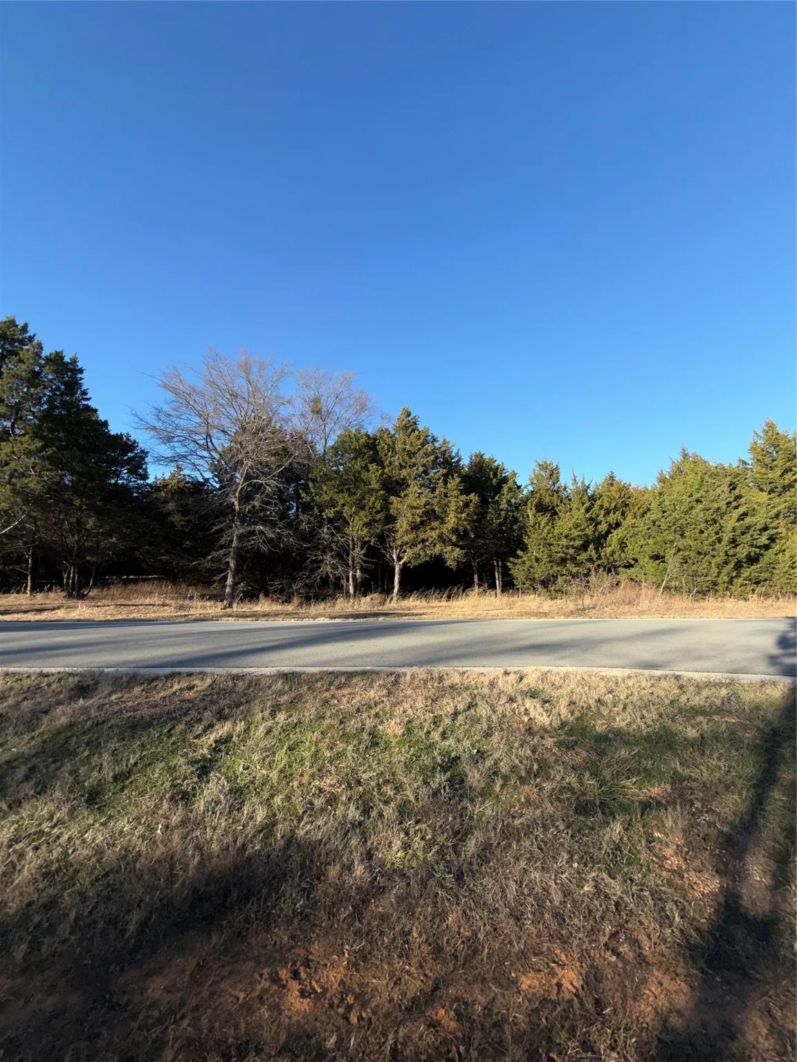 Unimproved Land For Sale in Grayson County , Lot 3 Forest Hills Drive, Gordonville, Texas 76245, 0, 0, Garage spaces, 0 Sqft, built in 0, Price $50,000, mls#21156436, Real Estate Agent in Gordonville, Homes For Sale in Grayson county, Homes For Sale in Gordonville, Realtor in Gordonville Texas, Real Estate Brokerage Independent Realty Texas, Luminita Cordes Realtor