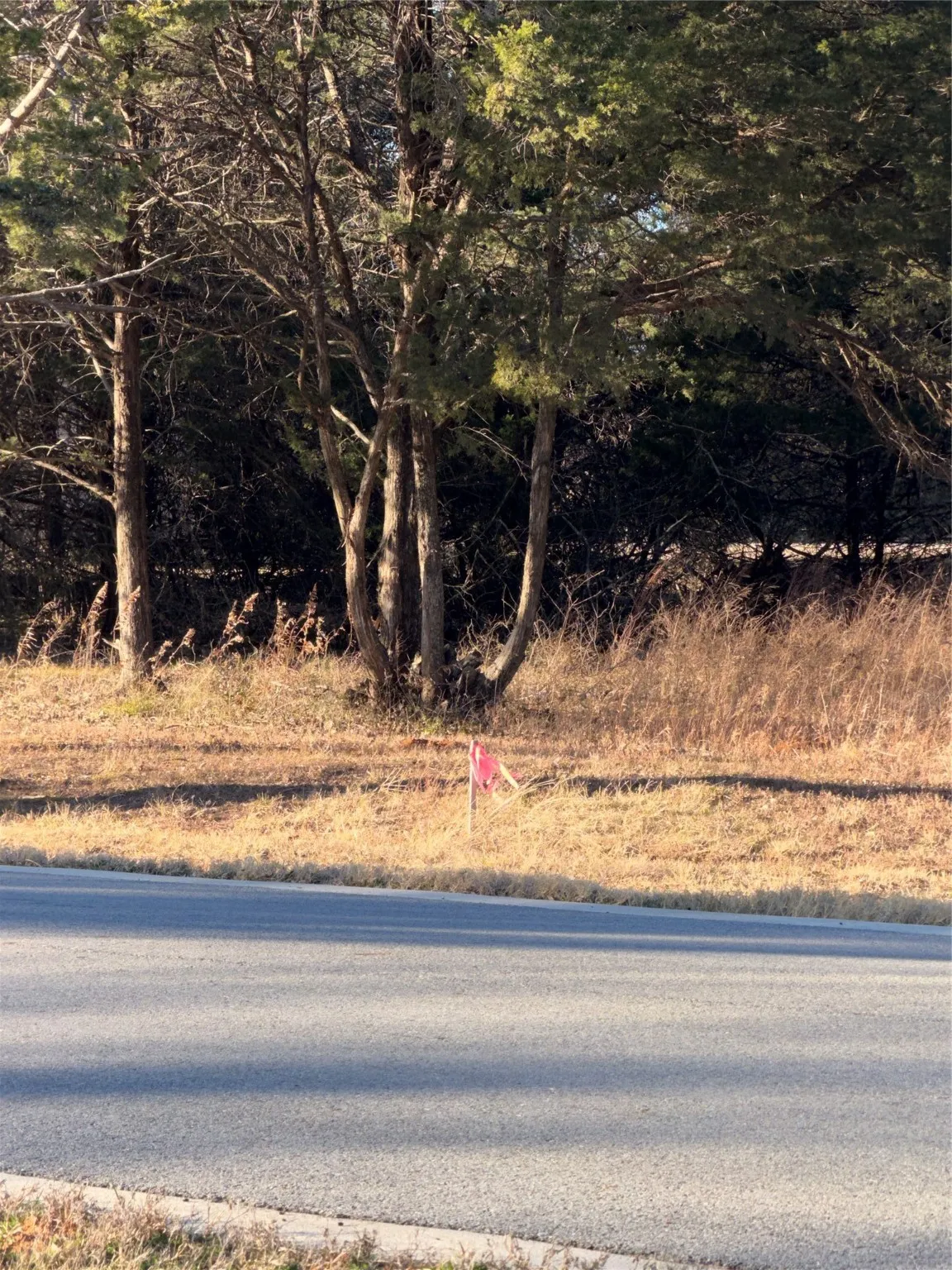 Pink Streamer on west side of the lotInstalled Windows updates
Windows Defender up-to-date
Malwarebytes up-to-date
1:41 AM 1/15/2026Installed Windows updates
Windows Defender up-to-date
Pink streamer on the west side of the lot