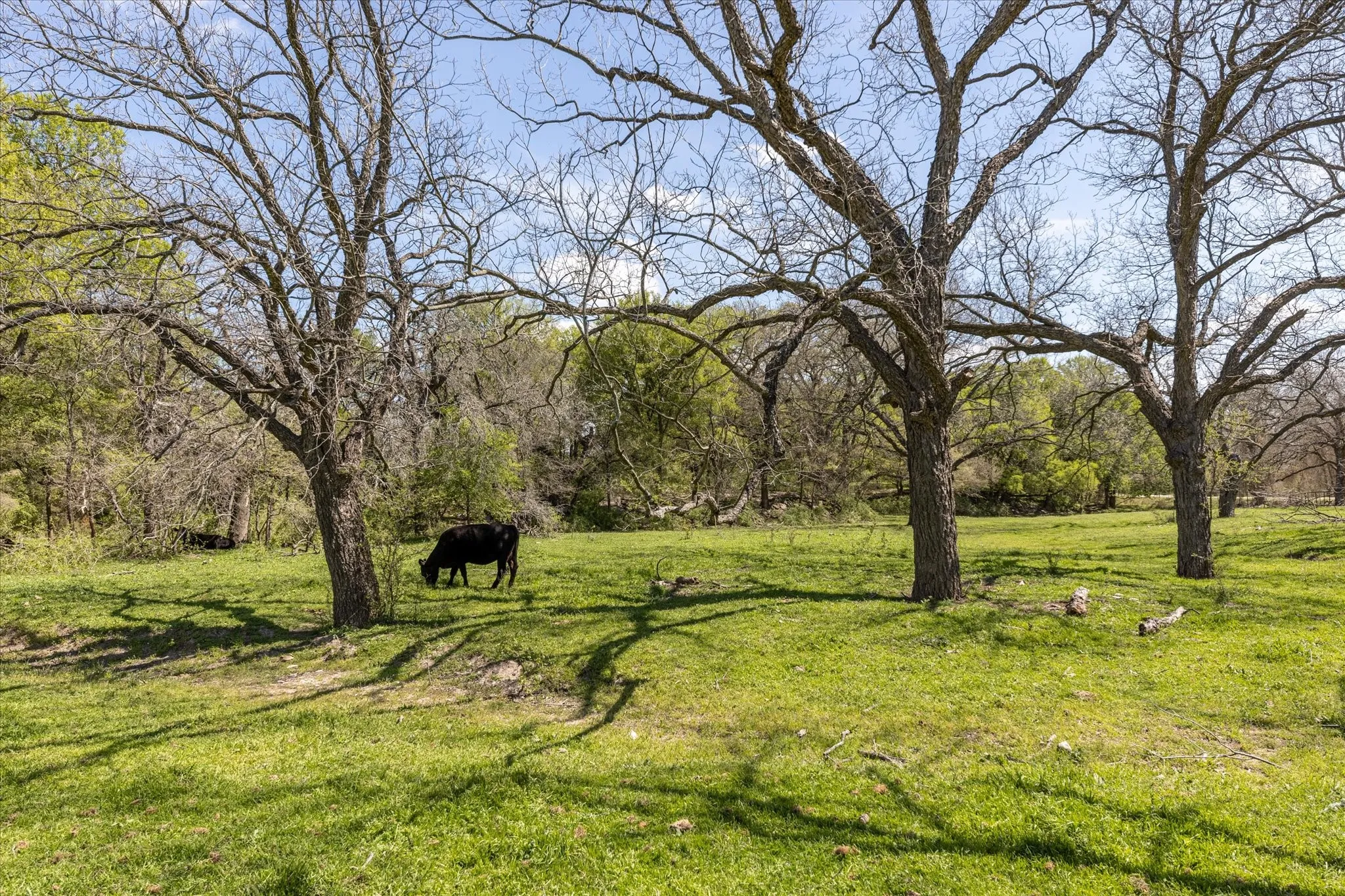 Single Family Residence For Sale in Erath County , 9885 County Road 270, Hico, Texas 76457, 3 Bedrooms, 2 Bathrooms, Garage spaces, 1,390 Sqft, built in 1986, Preowned, Price $825,000, mls#21157923, Real Estate Agent in Hico, Homes For Sale in Erath county, Homes For Sale in Hico, Realtor in Hico Texas, Real Estate Brokerage Independent Realty Texas, Luminita Cordes Realtor