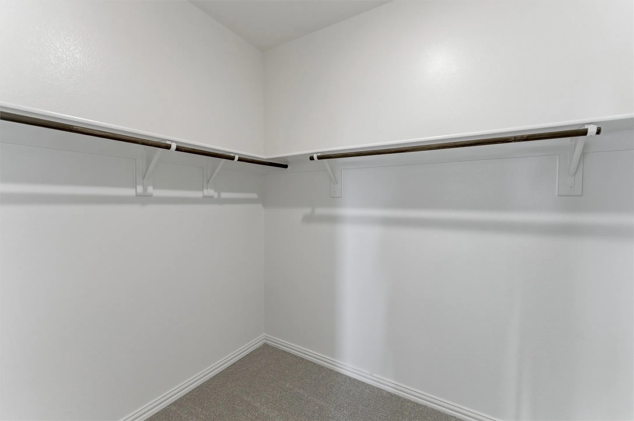 Walk-in closet featuring white painted walls, white shelving, dark wood-finish hanging rods, and grey carpeting
