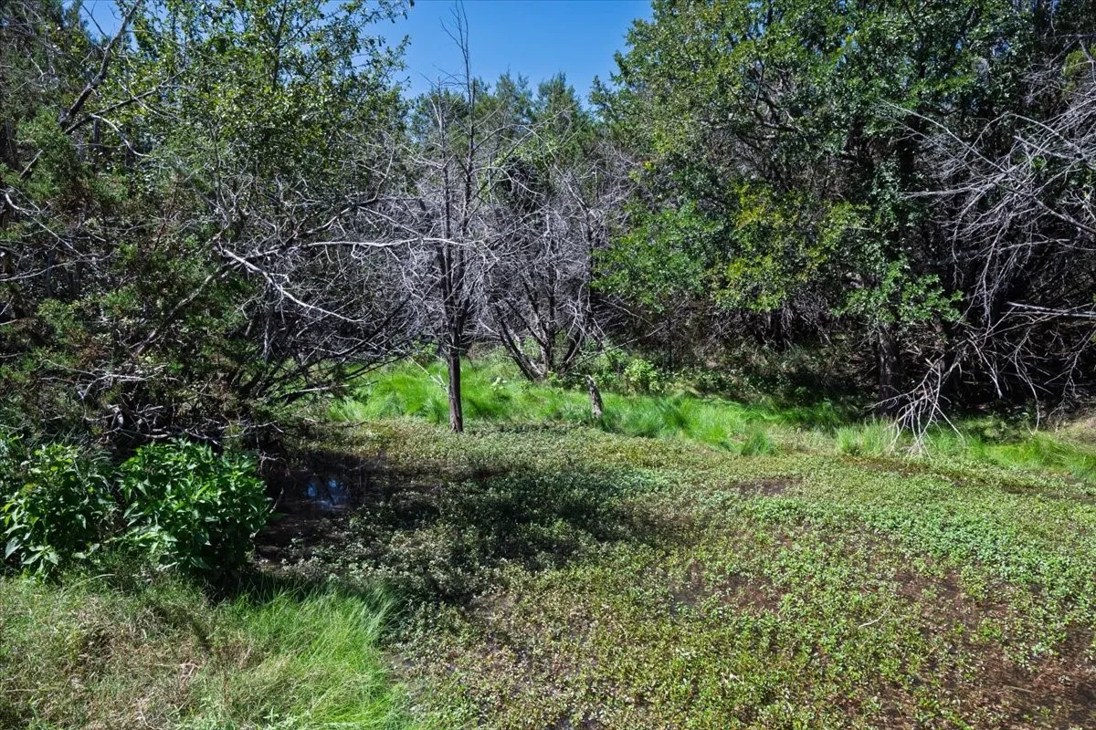 Unimproved Land For Sale in Burnet County , Tract 2 County Road 208, Lampasas, Texas 76550, 0, 0, Garage spaces, 0 Sqft, built in 0, mls#21156626, Real Estate Agent in Lampasas, Homes For Sale in Burnet county, Homes For Sale in Lampasas, Realtor in Lampasas Texas, Real Estate Brokerage Independent Realty Texas, Luminita Cordes Realtor