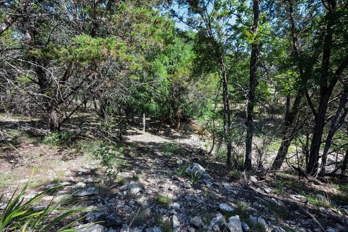 Unimproved Land For Sale in Burnet County , Tract 2 County Road 208, Lampasas, Texas 76550, 0, 0, Garage spaces, 0 Sqft, built in 0, mls#21156626, Real Estate Agent in Lampasas, Homes For Sale in Burnet county, Homes For Sale in Lampasas, Realtor in Lampasas Texas, Real Estate Brokerage Independent Realty Texas, Luminita Cordes Realtor