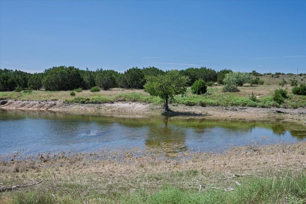 Unimproved Land For Sale in Burnet County , Tract 2 County Road 208, Lampasas, Texas 76550, 0, 0, Garage spaces, 0 Sqft, built in 0, mls#21156626, Real Estate Agent in Lampasas, Homes For Sale in Burnet county, Homes For Sale in Lampasas, Realtor in Lampasas Texas, Real Estate Brokerage Independent Realty Texas, Luminita Cordes Realtor