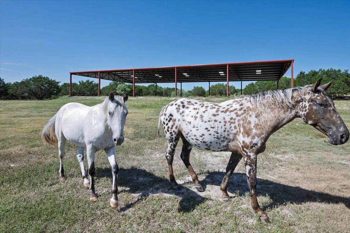 Unimproved Land For Sale in Burnet County , Tract 2 County Road 208, Lampasas, Texas 76550, 0, 0, Garage spaces, 0 Sqft, built in 0, mls#21156626, Real Estate Agent in Lampasas, Homes For Sale in Burnet county, Homes For Sale in Lampasas, Realtor in Lampasas Texas, Real Estate Brokerage Independent Realty Texas, Luminita Cordes Realtor