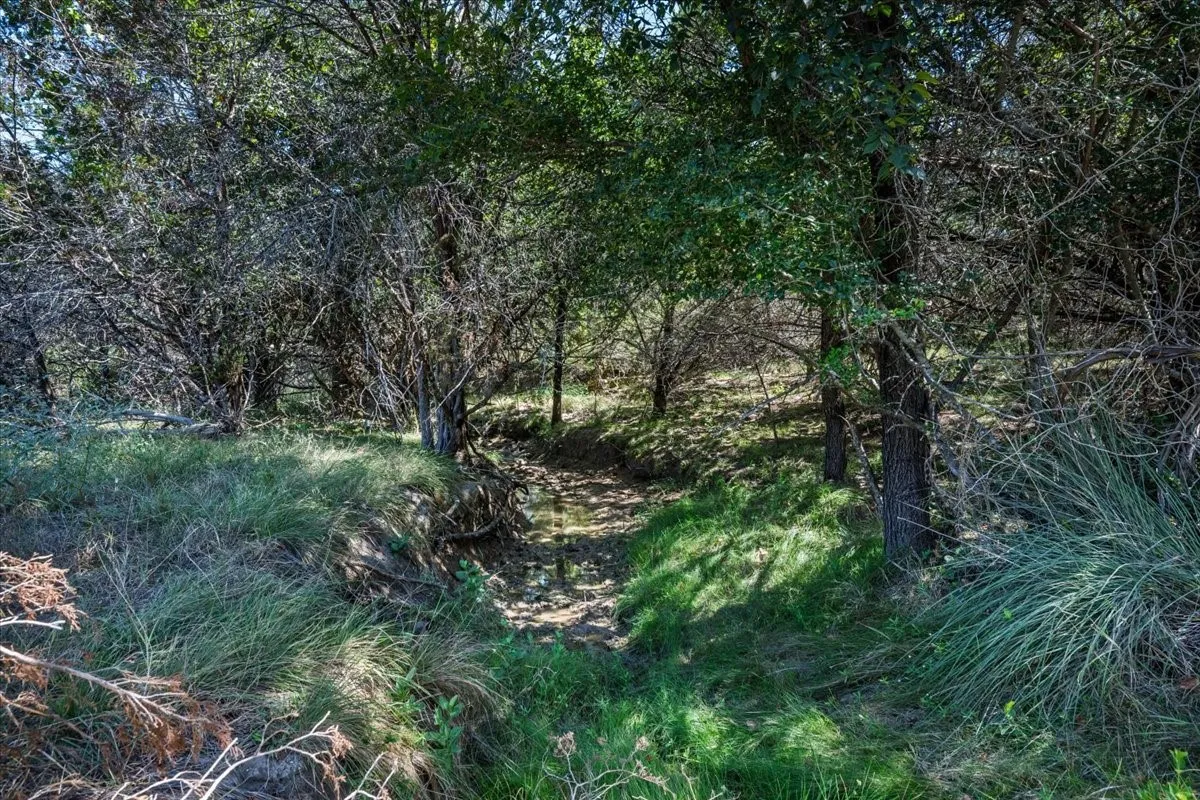 Unimproved Land For Sale in Burnet County , Tract 2 County Road 208, Lampasas, Texas 76550, 0, 0, Garage spaces, 0 Sqft, built in 0, mls#21156626, Real Estate Agent in Lampasas, Homes For Sale in Burnet county, Homes For Sale in Lampasas, Realtor in Lampasas Texas, Real Estate Brokerage Independent Realty Texas, Luminita Cordes Realtor