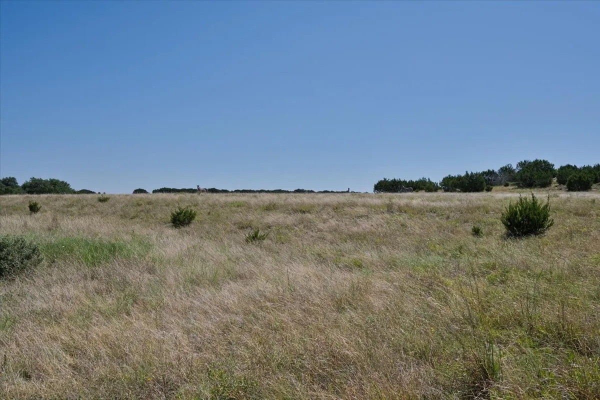 Unimproved Land For Sale in Burnet County , Tract 2 County Road 208, Lampasas, Texas 76550, 0, 0, Garage spaces, 0 Sqft, built in 0, mls#21156626, Real Estate Agent in Lampasas, Homes For Sale in Burnet county, Homes For Sale in Lampasas, Realtor in Lampasas Texas, Real Estate Brokerage Independent Realty Texas, Luminita Cordes Realtor