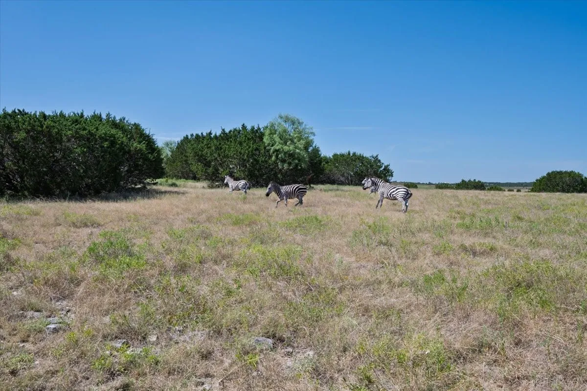 Unimproved Land For Sale in Burnet County , Tract 2 County Road 208, Lampasas, Texas 76550, 0, 0, Garage spaces, 0 Sqft, built in 0, mls#21156626, Real Estate Agent in Lampasas, Homes For Sale in Burnet county, Homes For Sale in Lampasas, Realtor in Lampasas Texas, Real Estate Brokerage Independent Realty Texas, Luminita Cordes Realtor