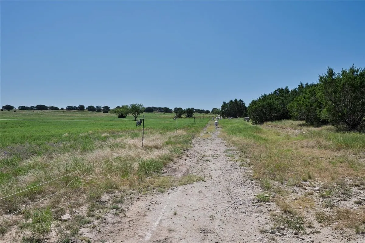 Unimproved Land For Sale in Burnet County , Tract 2 County Road 208, Lampasas, Texas 76550, 0, 0, Garage spaces, 0 Sqft, built in 0, mls#21156626, Real Estate Agent in Lampasas, Homes For Sale in Burnet county, Homes For Sale in Lampasas, Realtor in Lampasas Texas, Real Estate Brokerage Independent Realty Texas, Luminita Cordes Realtor