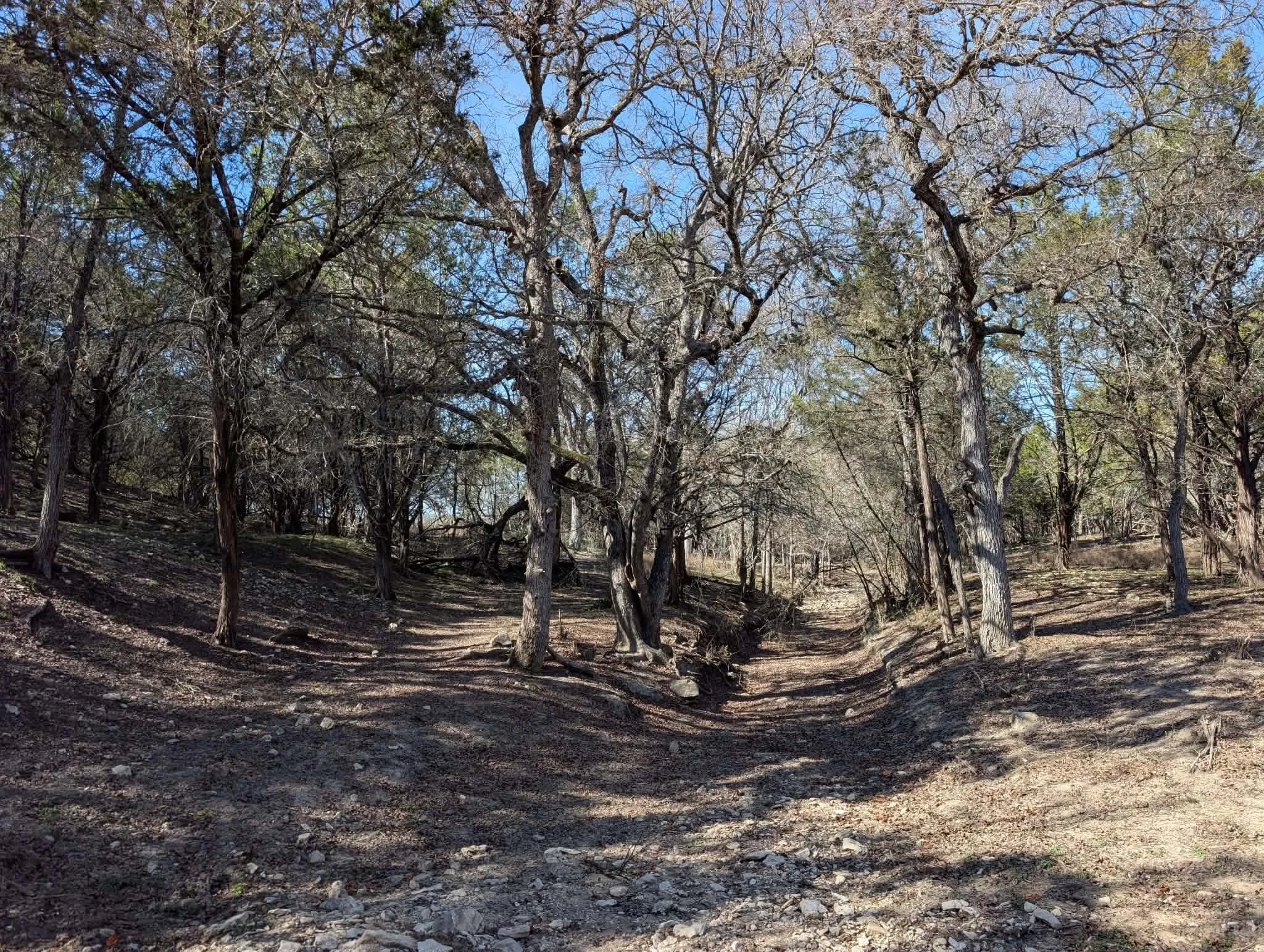 Unimproved Land For Sale in Burnet County , Tract 1 County Road 208, Lampasas, Texas 76550, 0, 0, Garage spaces, 0 Sqft, built in 0, Price $1,363,000, mls#21155682, Real Estate Agent in Lampasas, Homes For Sale in Burnet county, Homes For Sale in Lampasas, Realtor in Lampasas Texas, Real Estate Brokerage Independent Realty Texas, Luminita Cordes Realtor