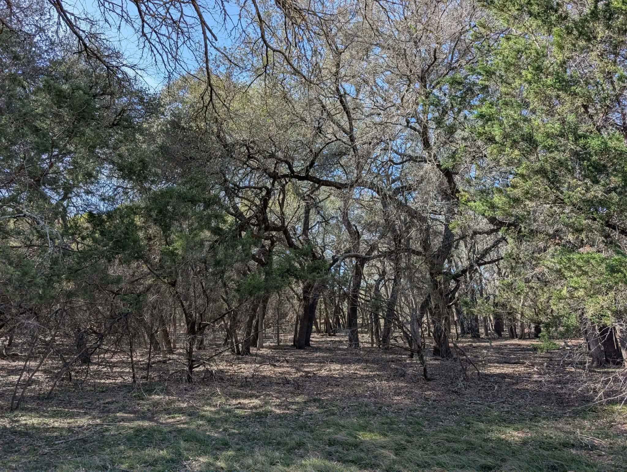 Unimproved Land For Sale in Burnet County , Tract 1 County Road 208, Lampasas, Texas 76550, 0, 0, Garage spaces, 0 Sqft, built in 0, Price $1,363,000, mls#21155682, Real Estate Agent in Lampasas, Homes For Sale in Burnet county, Homes For Sale in Lampasas, Realtor in Lampasas Texas, Real Estate Brokerage Independent Realty Texas, Luminita Cordes Realtor