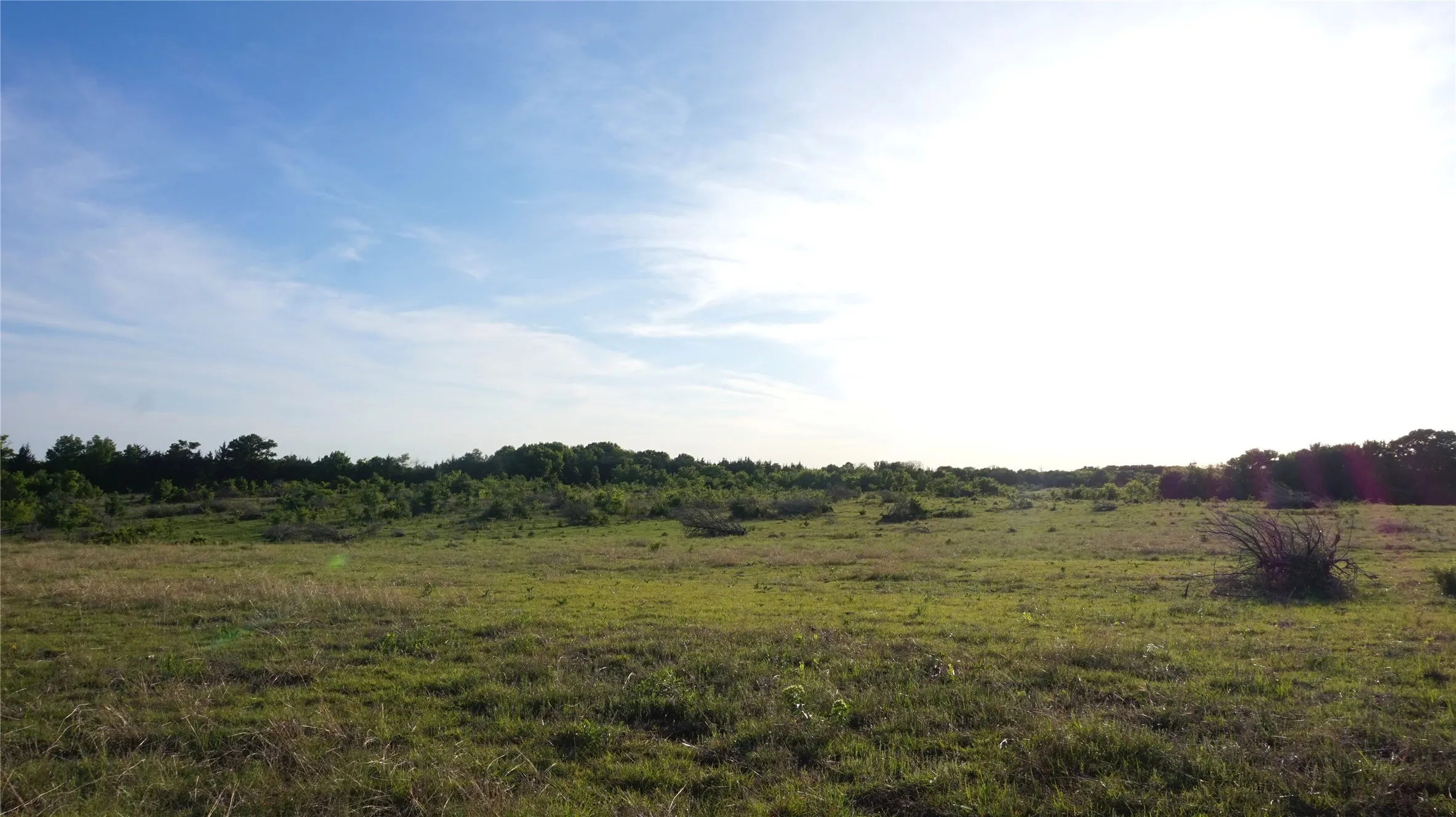 Unimproved Land For Sale in Grayson County , TBD Lot 2 Adams Road, Sherman, Texas 75090, 0, 0, Garage spaces, 0 Sqft, built in 0, mls#21158205, Real Estate Agent in Sherman, Homes For Sale in Grayson county, Homes For Sale in Sherman, Realtor in Sherman Texas, Real Estate Brokerage Independent Realty Texas, Luminita Cordes Realtor