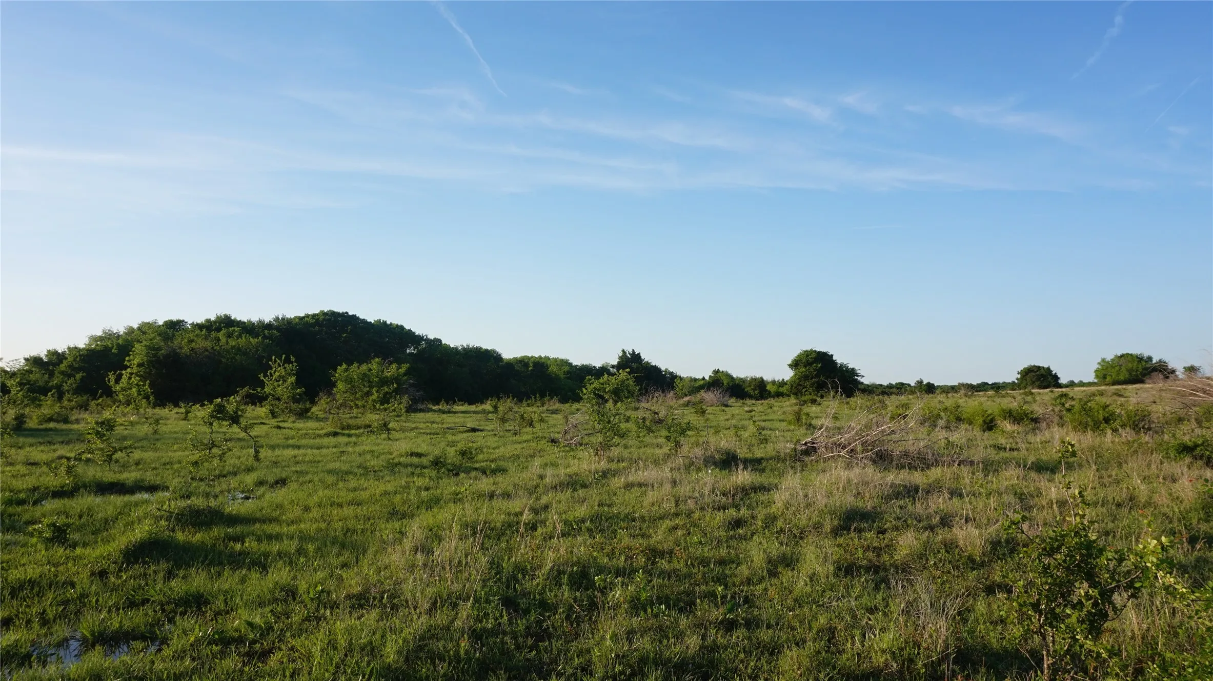 Unimproved Land For Sale in Grayson County , TBD Lot 3 Adams Road, Sherman, Texas 75090, 0, 0, Garage spaces, 0 Sqft, built in 0, mls#21158219, Real Estate Agent in Sherman, Homes For Sale in Grayson county, Homes For Sale in Sherman, Realtor in Sherman Texas, Real Estate Brokerage Independent Realty Texas, Luminita Cordes Realtor