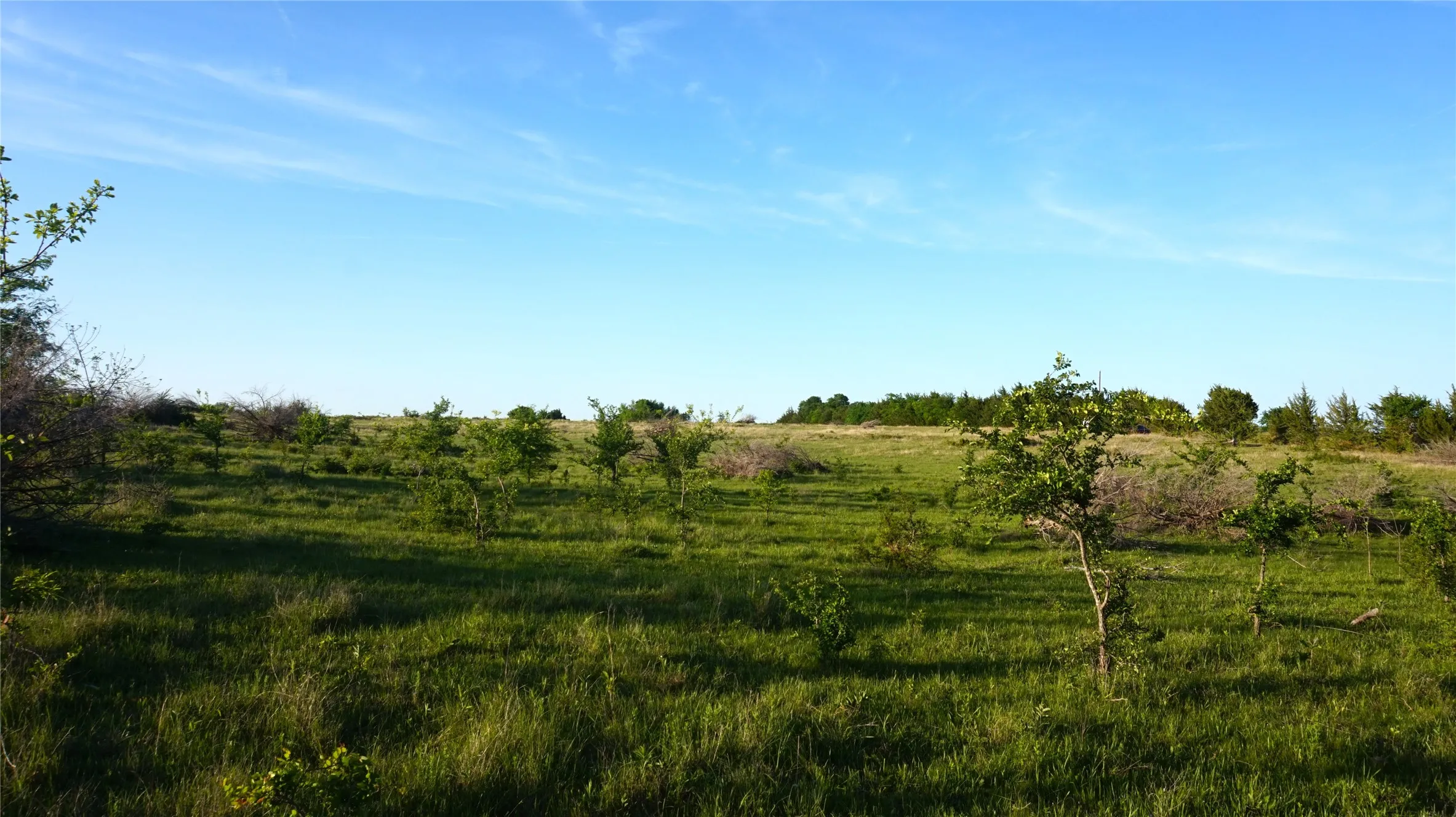 Unimproved Land For Sale in Grayson County , TBD Lot 3 Adams Road, Sherman, Texas 75090, 0, 0, Garage spaces, 0 Sqft, built in 0, mls#21158219, Real Estate Agent in Sherman, Homes For Sale in Grayson county, Homes For Sale in Sherman, Realtor in Sherman Texas, Real Estate Brokerage Independent Realty Texas, Luminita Cordes Realtor