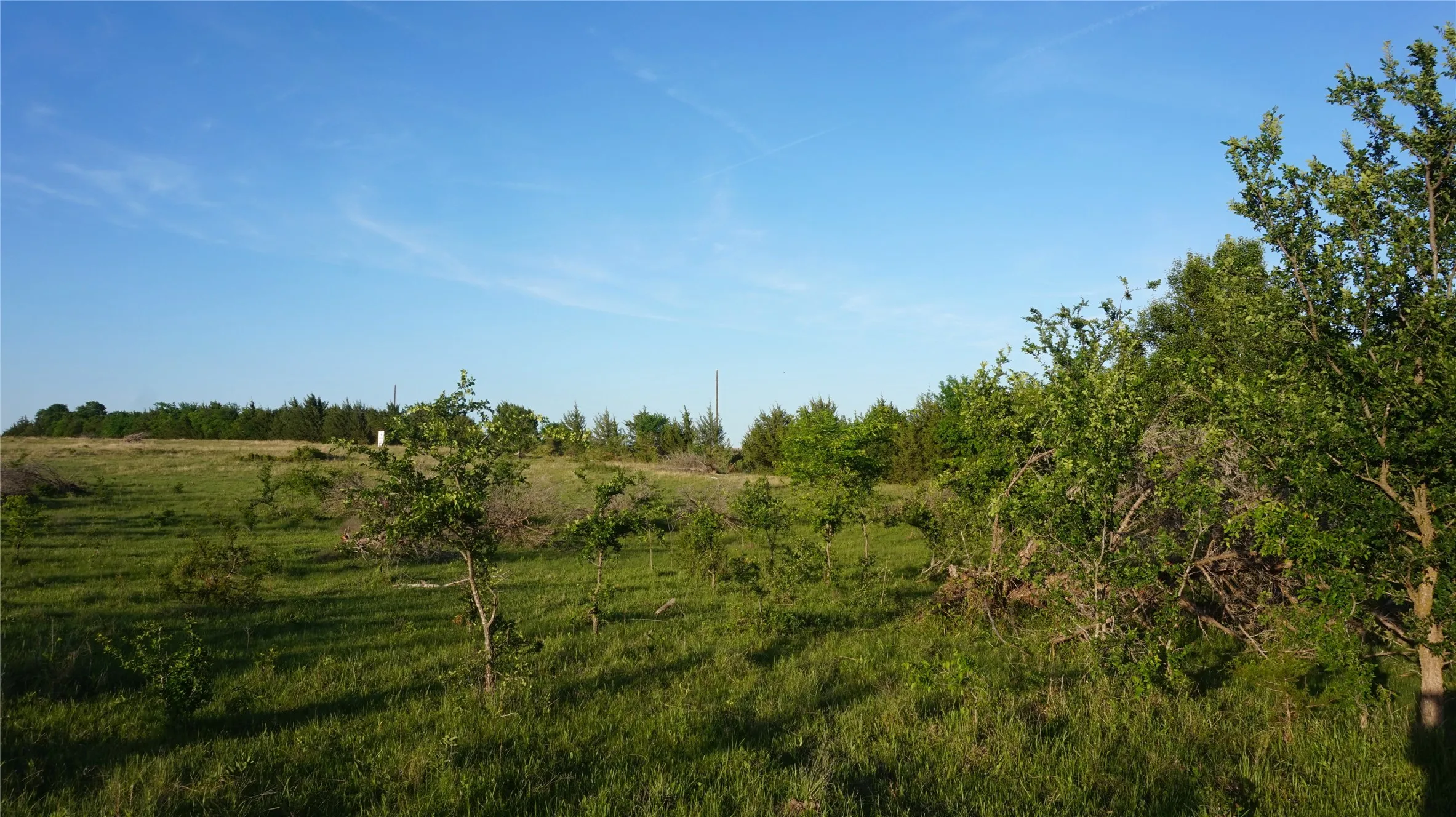 Unimproved Land For Sale in Grayson County , TBD Lot 3 Adams Road, Sherman, Texas 75090, 0, 0, Garage spaces, 0 Sqft, built in 0, mls#21158219, Real Estate Agent in Sherman, Homes For Sale in Grayson county, Homes For Sale in Sherman, Realtor in Sherman Texas, Real Estate Brokerage Independent Realty Texas, Luminita Cordes Realtor