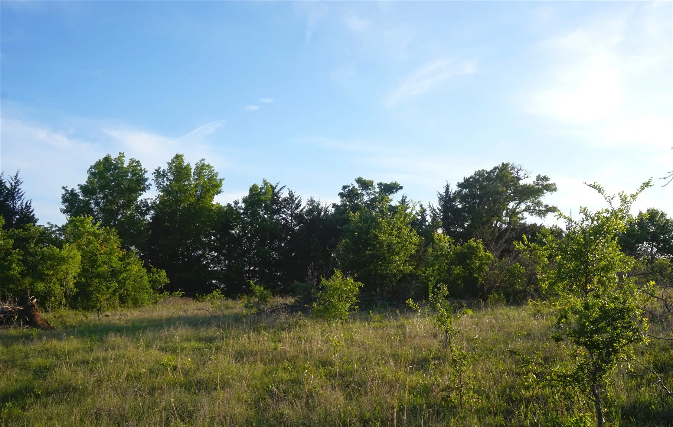 Unimproved Land For Sale in Grayson County , TBD Lot 3 Adams Road, Sherman, Texas 75090, 0, 0, Garage spaces, 0 Sqft, built in 0, mls#21158219, Real Estate Agent in Sherman, Homes For Sale in Grayson county, Homes For Sale in Sherman, Realtor in Sherman Texas, Real Estate Brokerage Independent Realty Texas, Luminita Cordes Realtor