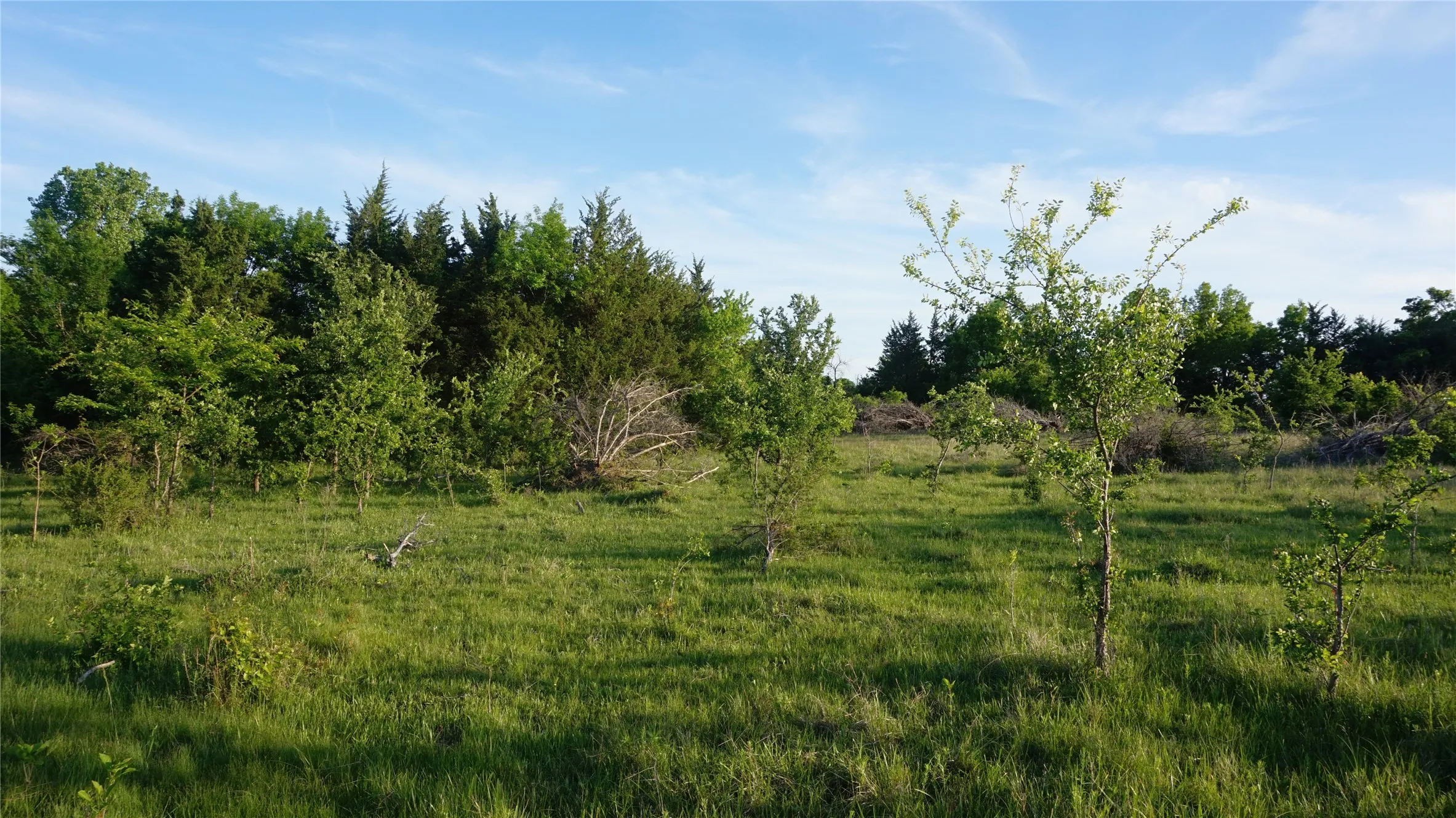 Unimproved Land For Sale in Grayson County , TBD Lot 3 Adams Road, Sherman, Texas 75090, 0, 0, Garage spaces, 0 Sqft, built in 0, mls#21158219, Real Estate Agent in Sherman, Homes For Sale in Grayson county, Homes For Sale in Sherman, Realtor in Sherman Texas, Real Estate Brokerage Independent Realty Texas, Luminita Cordes Realtor