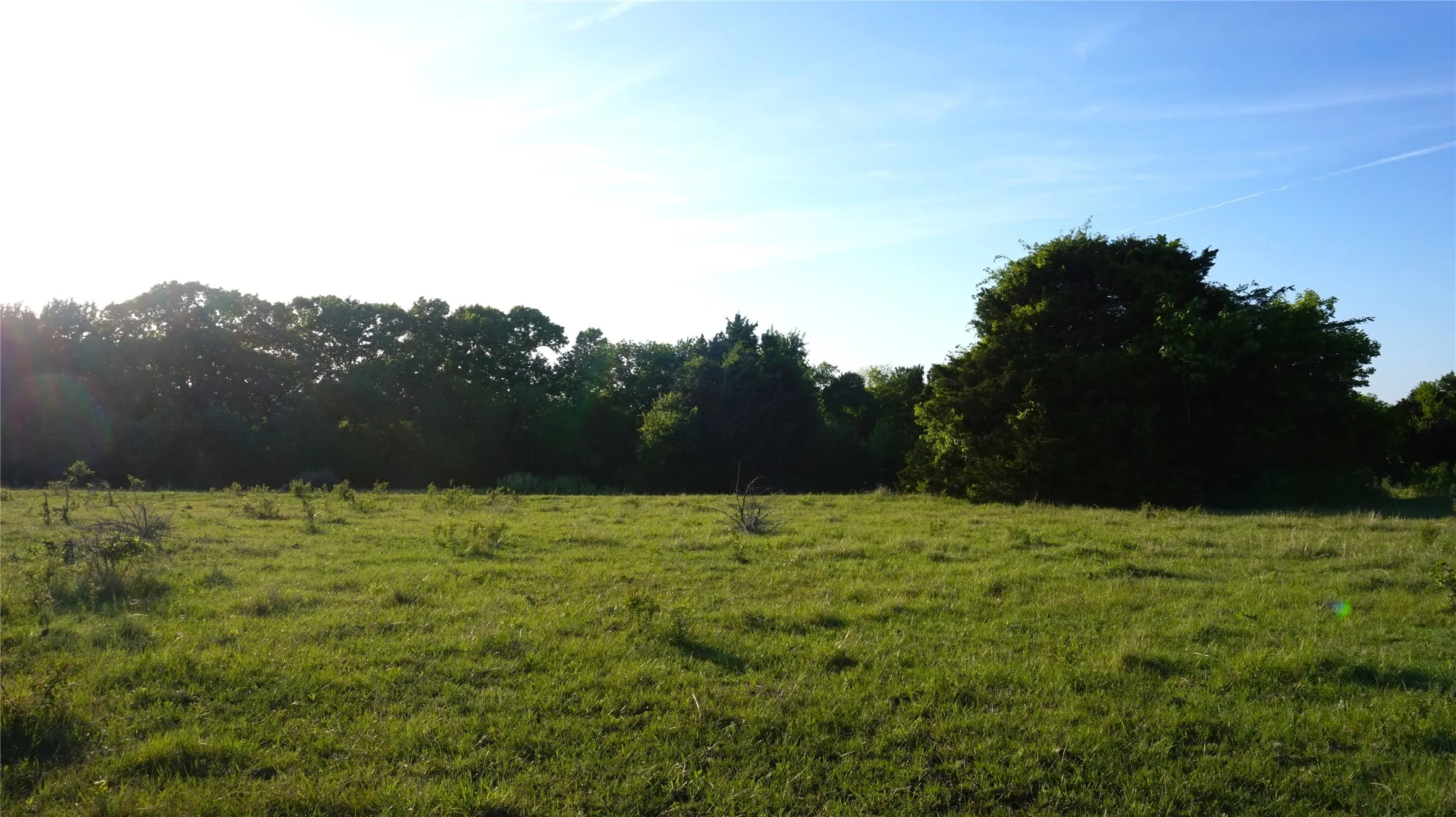 Unimproved Land For Sale in Grayson County , TBD Lot 3 Adams Road, Sherman, Texas 75090, 0, 0, Garage spaces, 0 Sqft, built in 0, mls#21158219, Real Estate Agent in Sherman, Homes For Sale in Grayson county, Homes For Sale in Sherman, Realtor in Sherman Texas, Real Estate Brokerage Independent Realty Texas, Luminita Cordes Realtor