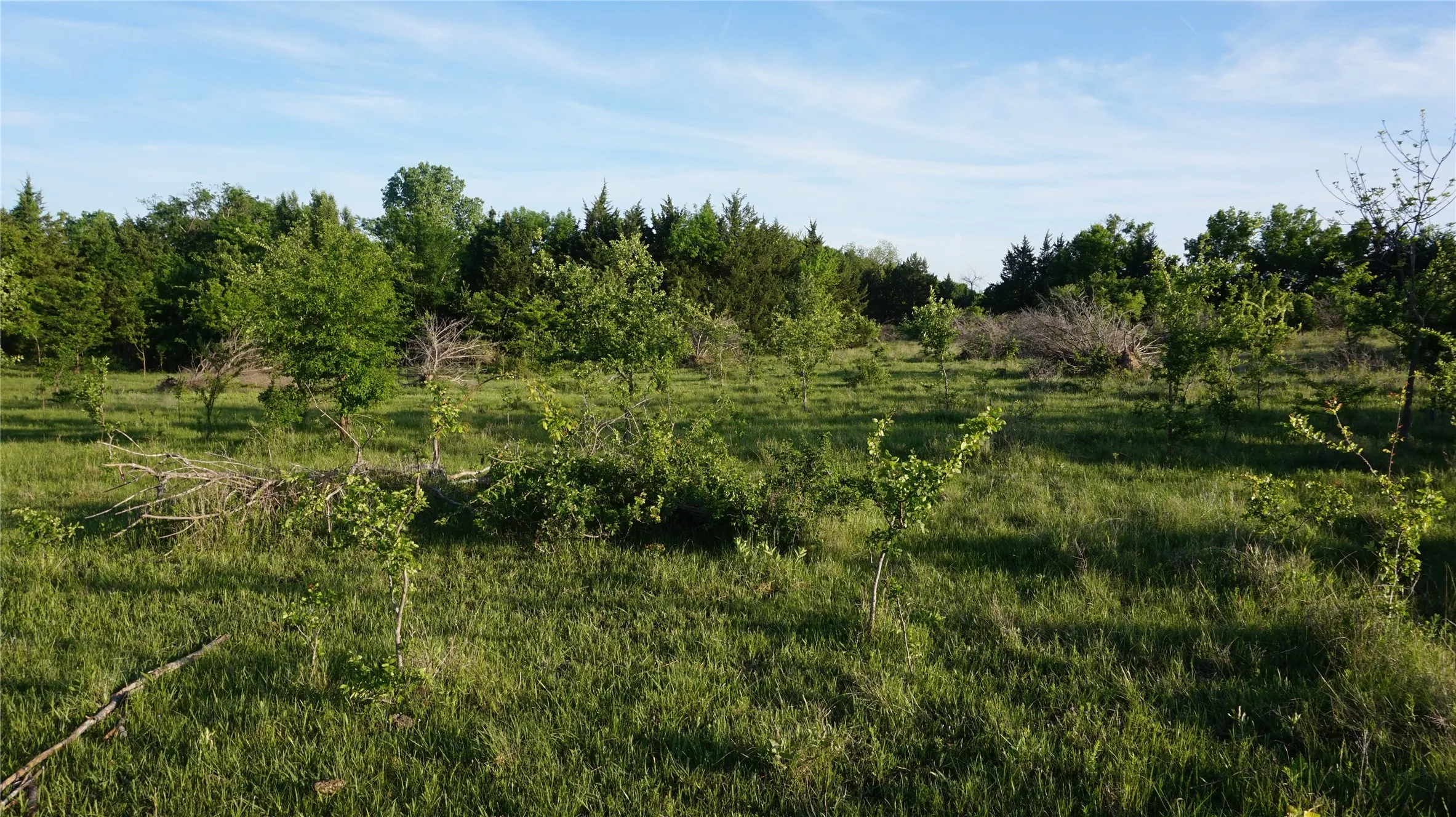 Unimproved Land For Sale in Grayson County , TBD Lot 3 Adams Road, Sherman, Texas 75090, 0, 0, Garage spaces, 0 Sqft, built in 0, mls#21158219, Real Estate Agent in Sherman, Homes For Sale in Grayson county, Homes For Sale in Sherman, Realtor in Sherman Texas, Real Estate Brokerage Independent Realty Texas, Luminita Cordes Realtor