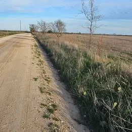Unimproved Land For Sale in Hamilton County , 1105 CR 611, Hamilton, Texas 76531, 0, 0, Garage spaces, 0 Sqft, built in 0, Price $142,800, mls#21158247, Real Estate Agent in Hamilton, Homes For Sale in Hamilton county, Homes For Sale in Hamilton, Realtor in Hamilton Texas, Real Estate Brokerage Independent Realty Texas, Luminita Cordes Realtor