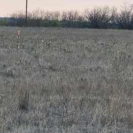 Unimproved Land For Sale in Hamilton County , 1105 CR 611, Hamilton, Texas 76531, 0, 0, Garage spaces, 0 Sqft, built in 0, Price $142,800, mls#21158247, Real Estate Agent in Hamilton, Homes For Sale in Hamilton county, Homes For Sale in Hamilton, Realtor in Hamilton Texas, Real Estate Brokerage Independent Realty Texas, Luminita Cordes Realtor