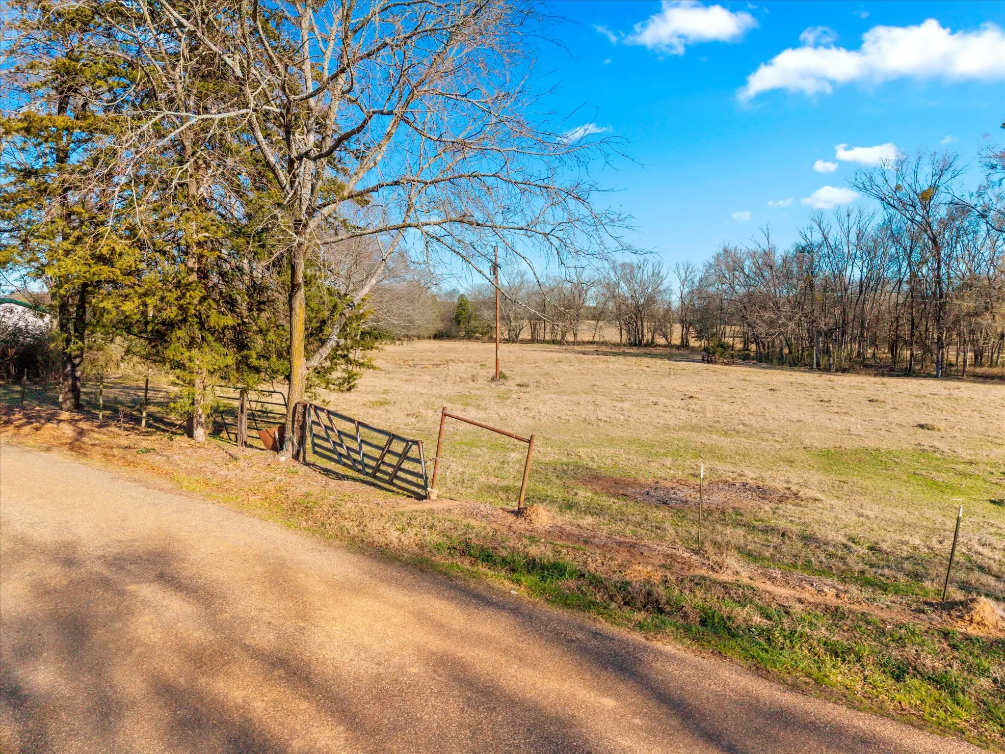 Unimproved Land For Sale in Titus County , TBD 4315, Cookville, Texas 75571, 0, 0, Garage spaces, 0 Sqft, built in 0, mls#21155755, Real Estate Agent in Cookville, Homes For Sale in Titus county, Homes For Sale in Cookville, Realtor in Cookville Texas, Real Estate Brokerage Independent Realty Texas, Luminita Cordes Realtor