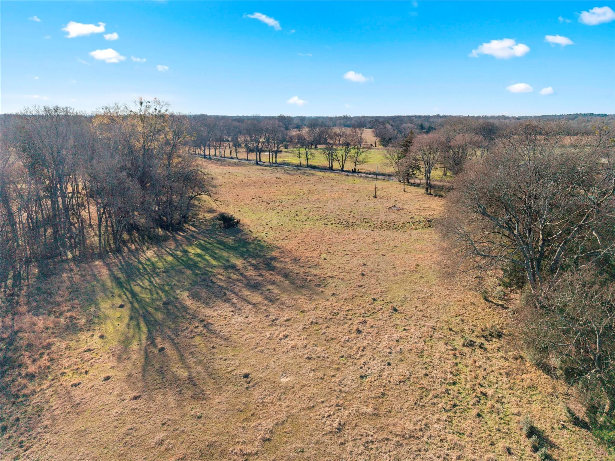 Unimproved Land For Sale in Titus County , TBD 4315, Cookville, Texas 75571, 0, 0, Garage spaces, 0 Sqft, built in 0, mls#21155755, Real Estate Agent in Cookville, Homes For Sale in Titus county, Homes For Sale in Cookville, Realtor in Cookville Texas, Real Estate Brokerage Independent Realty Texas, Luminita Cordes Realtor