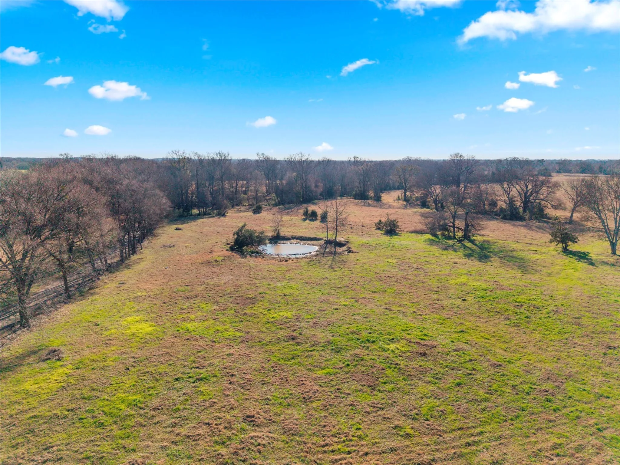 Unimproved Land For Sale in Titus County , TBD 4315, Cookville, Texas 75571, 0, 0, Garage spaces, 0 Sqft, built in 0, mls#21155755, Real Estate Agent in Cookville, Homes For Sale in Titus county, Homes For Sale in Cookville, Realtor in Cookville Texas, Real Estate Brokerage Independent Realty Texas, Luminita Cordes Realtor