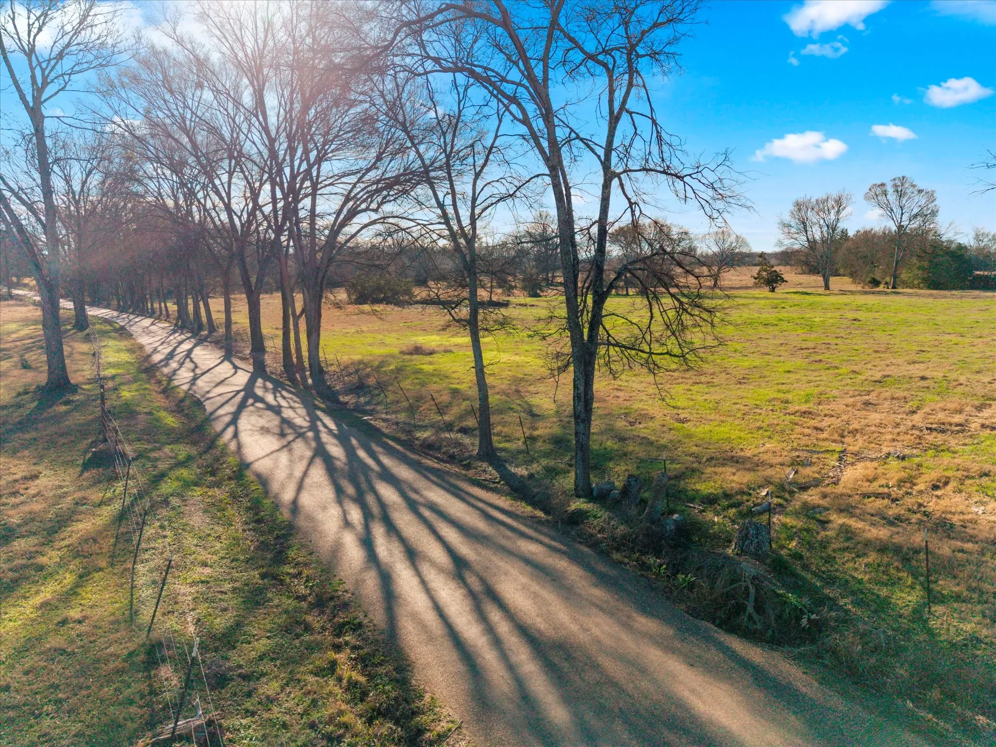 Unimproved Land For Sale in Titus County , TBD 4315, Cookville, Texas 75571, 0, 0, Garage spaces, 0 Sqft, built in 0, mls#21155755, Real Estate Agent in Cookville, Homes For Sale in Titus county, Homes For Sale in Cookville, Realtor in Cookville Texas, Real Estate Brokerage Independent Realty Texas, Luminita Cordes Realtor