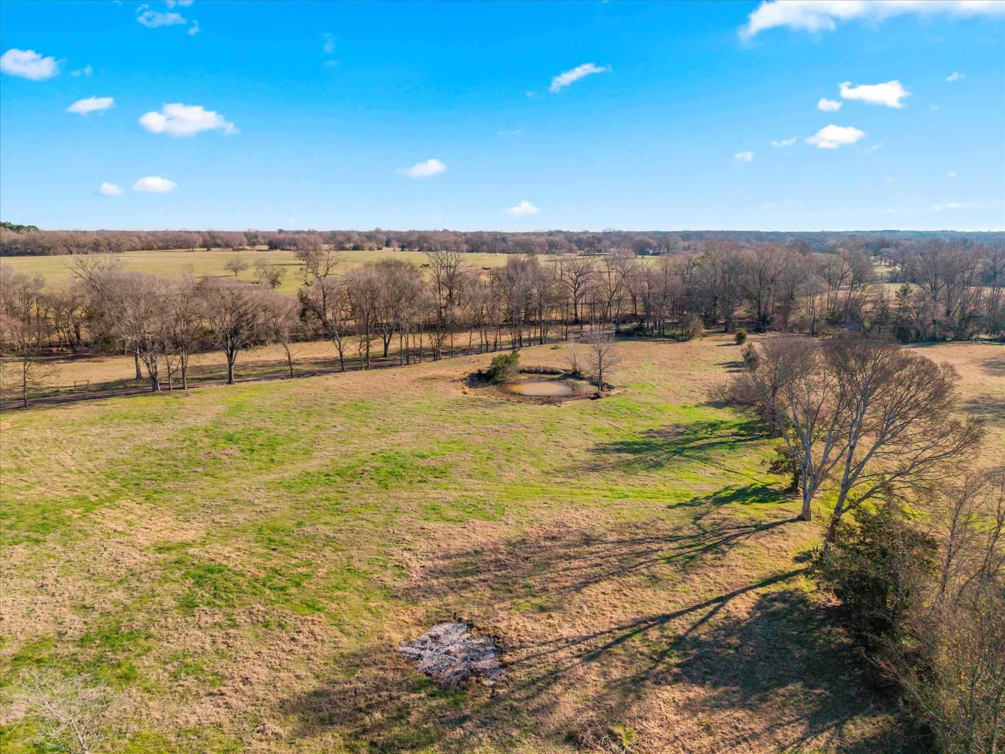Unimproved Land For Sale in Titus County , TBD 4315, Cookville, Texas 75571, 0, 0, Garage spaces, 0 Sqft, built in 0, mls#21155755, Real Estate Agent in Cookville, Homes For Sale in Titus county, Homes For Sale in Cookville, Realtor in Cookville Texas, Real Estate Brokerage Independent Realty Texas, Luminita Cordes Realtor