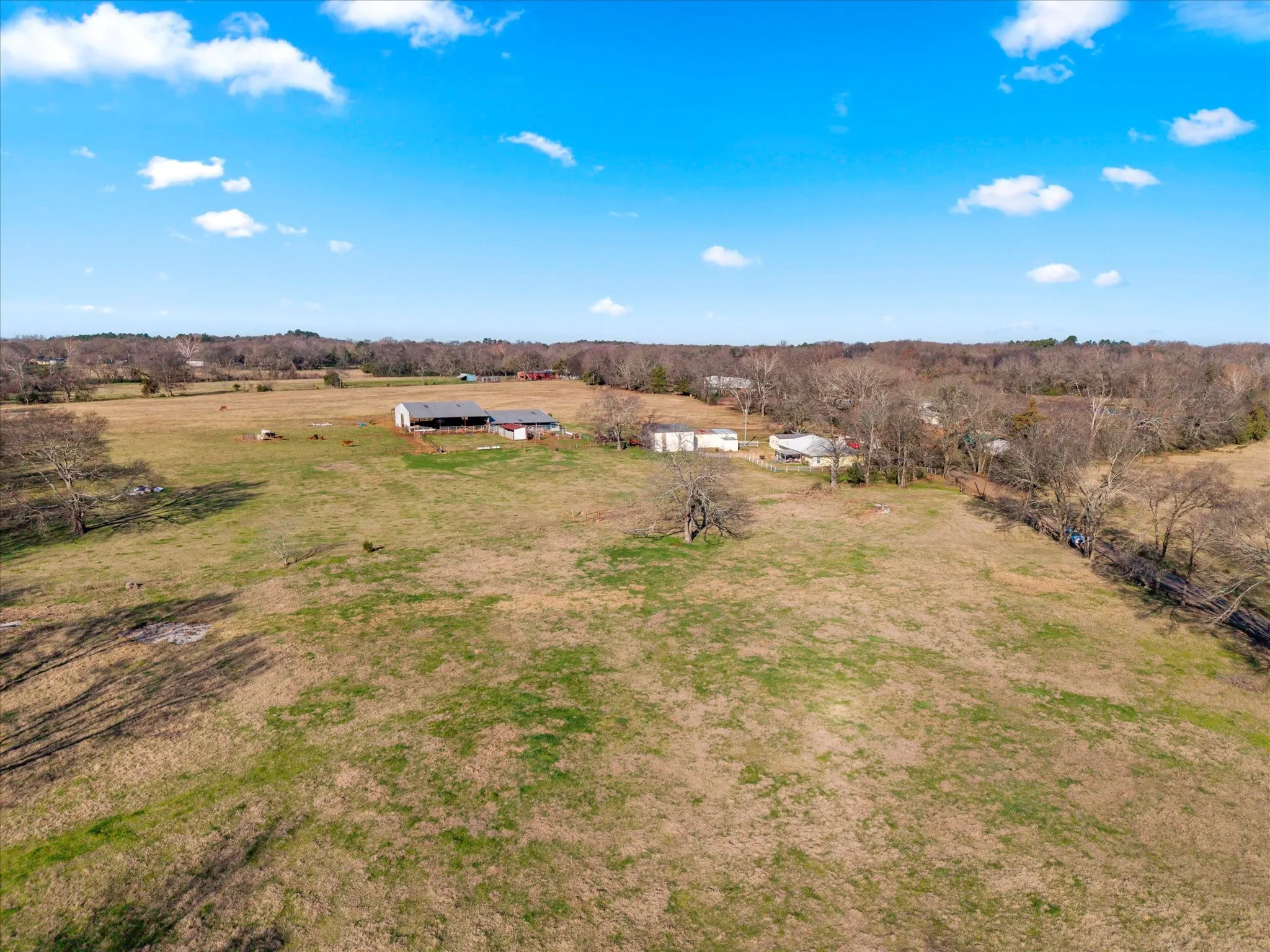 Unimproved Land For Sale in Titus County , TBD 4315, Cookville, Texas 75571, 0, 0, Garage spaces, 0 Sqft, built in 0, mls#21155755, Real Estate Agent in Cookville, Homes For Sale in Titus county, Homes For Sale in Cookville, Realtor in Cookville Texas, Real Estate Brokerage Independent Realty Texas, Luminita Cordes Realtor