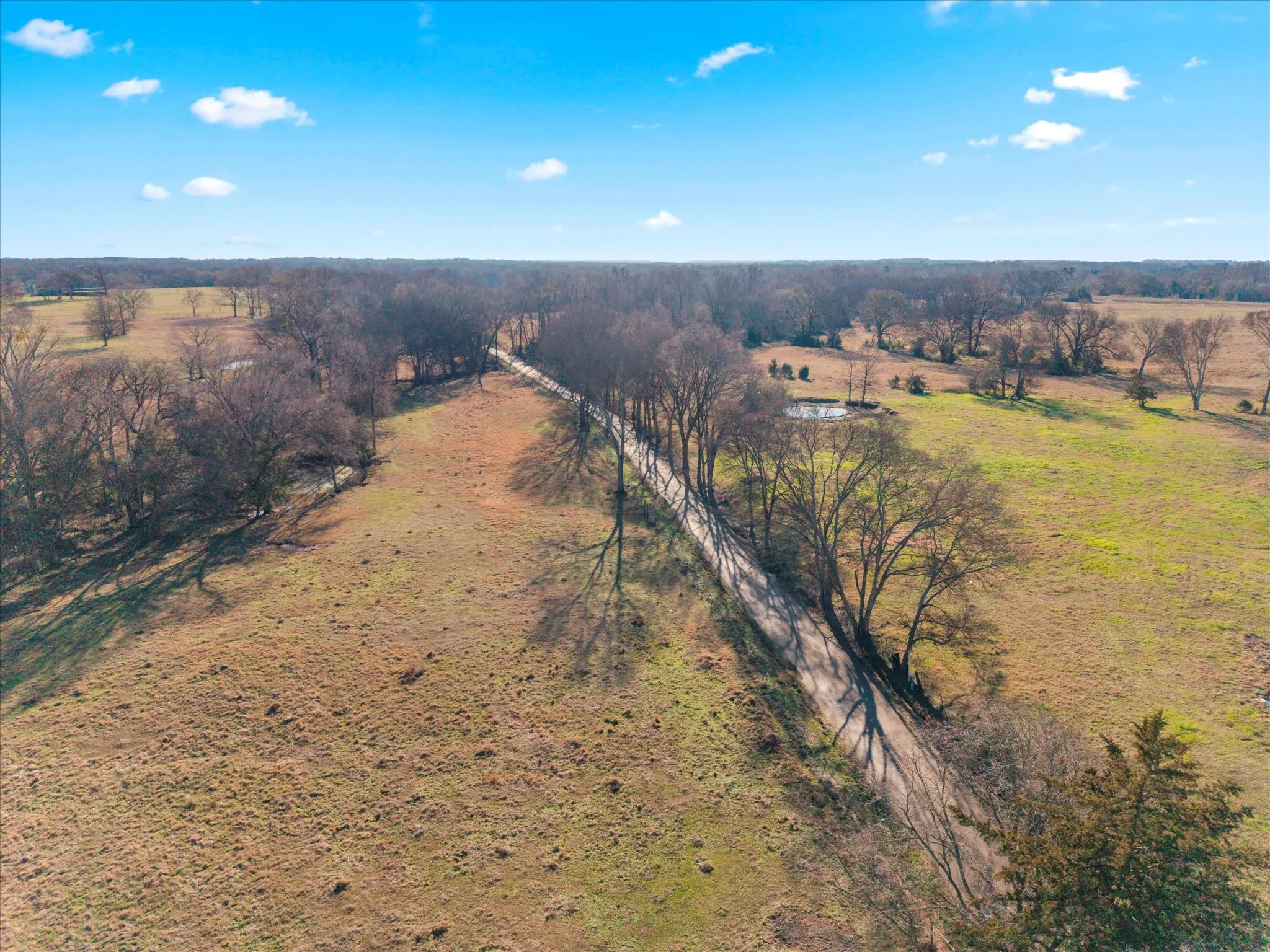 Unimproved Land For Sale in Titus County , TBD 4315, Cookville, Texas 75571, 0, 0, Garage spaces, 0 Sqft, built in 0, mls#21155755, Real Estate Agent in Cookville, Homes For Sale in Titus county, Homes For Sale in Cookville, Realtor in Cookville Texas, Real Estate Brokerage Independent Realty Texas, Luminita Cordes Realtor
