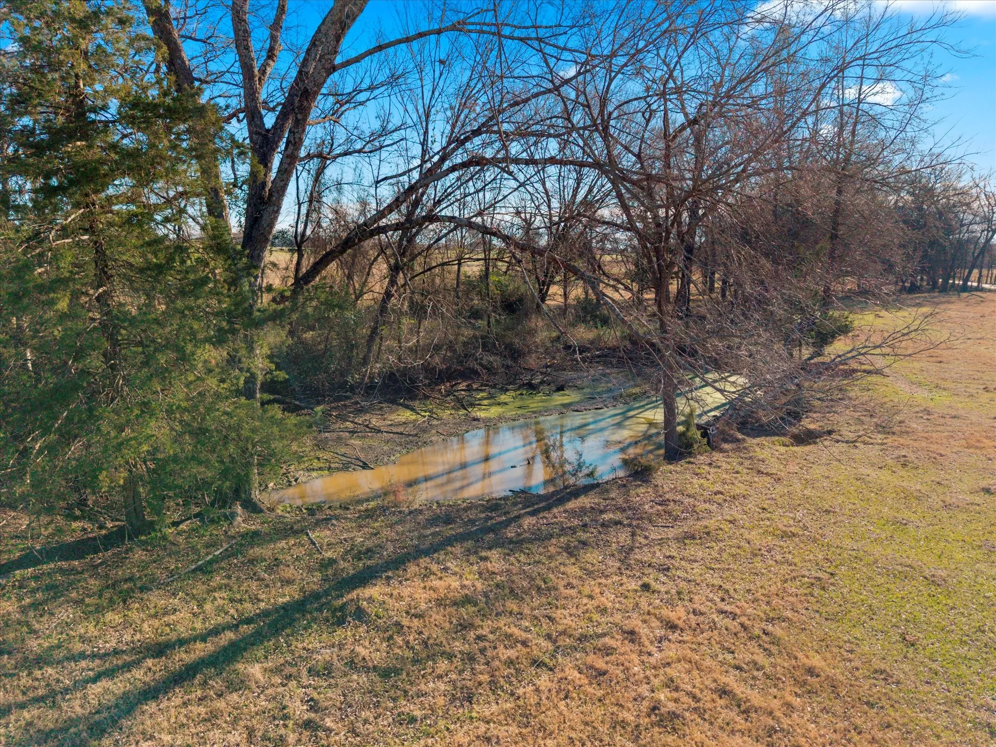 Unimproved Land For Sale in Titus County , TBD 4315, Cookville, Texas 75571, 0, 0, Garage spaces, 0 Sqft, built in 0, mls#21155755, Real Estate Agent in Cookville, Homes For Sale in Titus county, Homes For Sale in Cookville, Realtor in Cookville Texas, Real Estate Brokerage Independent Realty Texas, Luminita Cordes Realtor